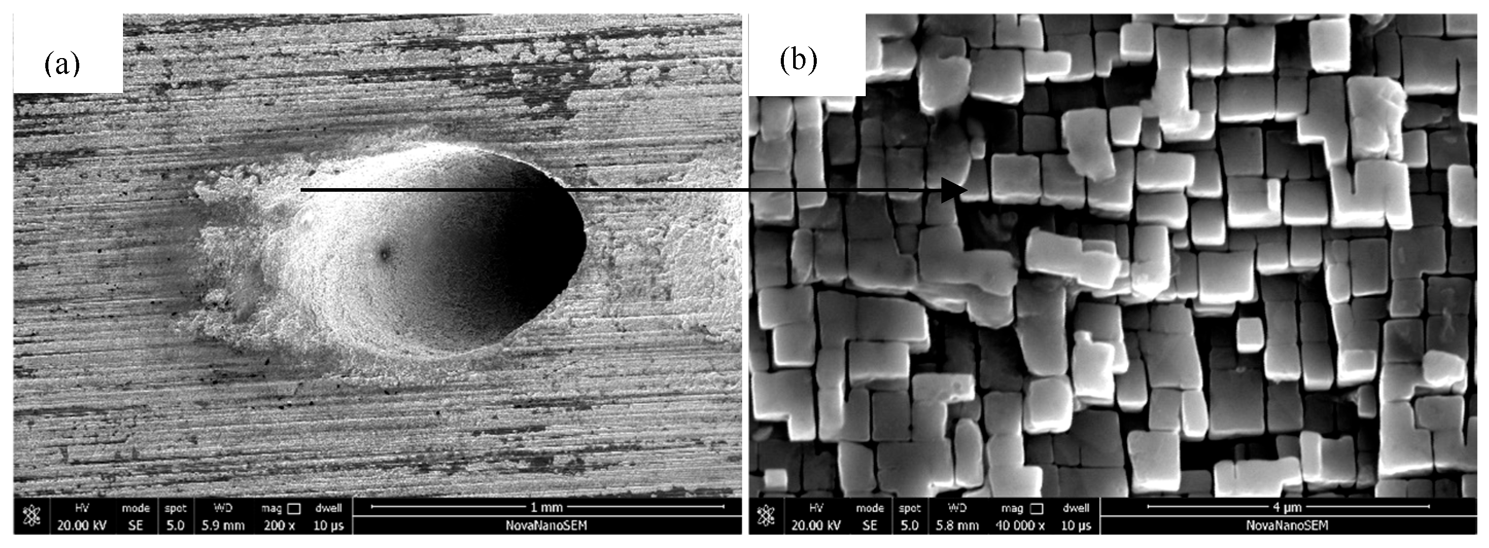 Materials 18 01498 g010