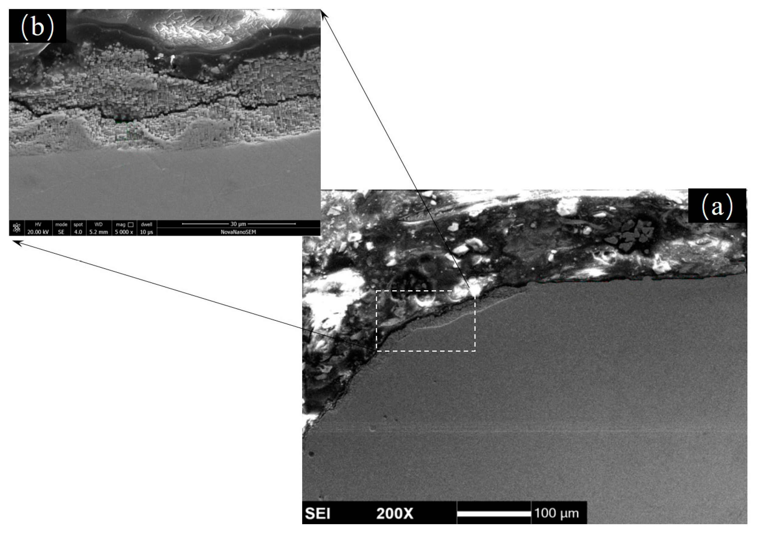 Materials 18 01498 g011