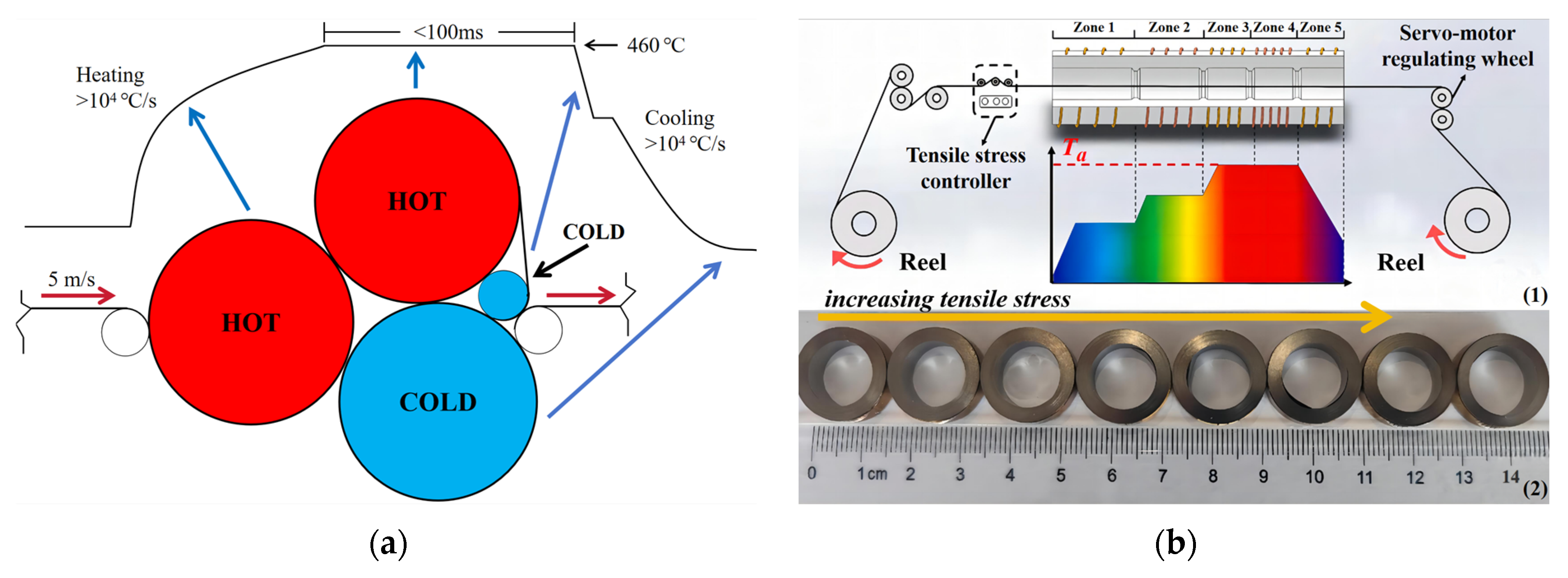 Materials 18 01499 g007