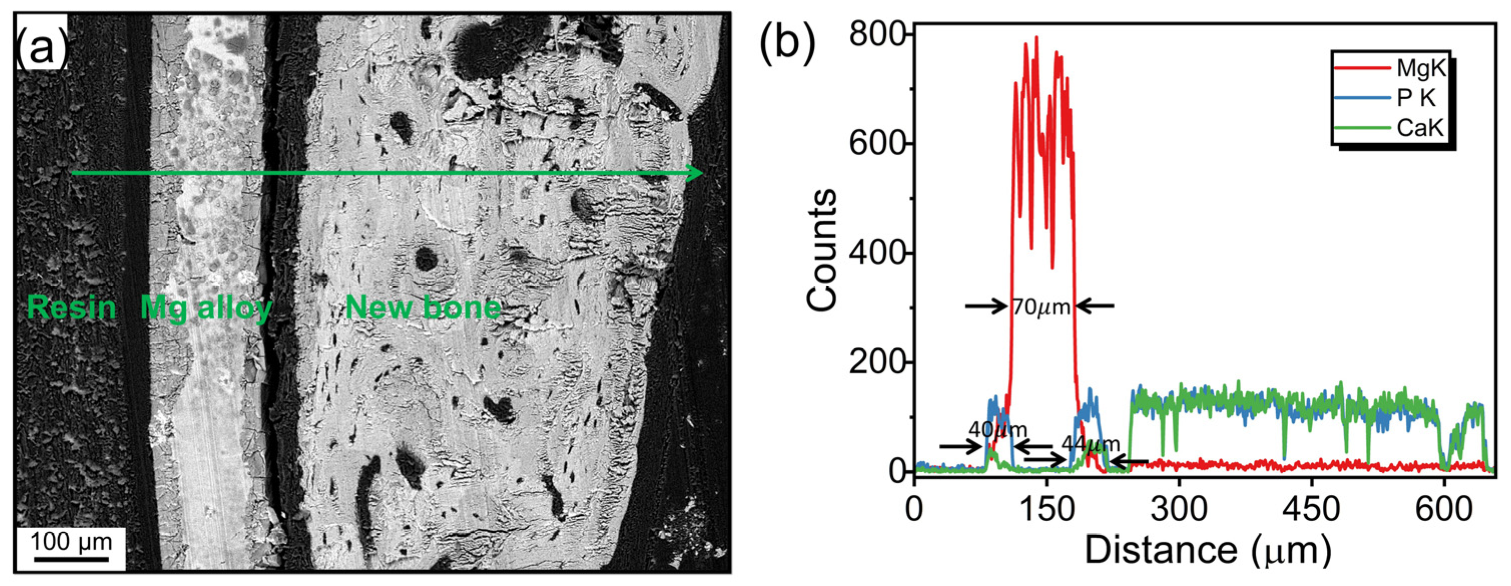 Materials 18 01500 g002