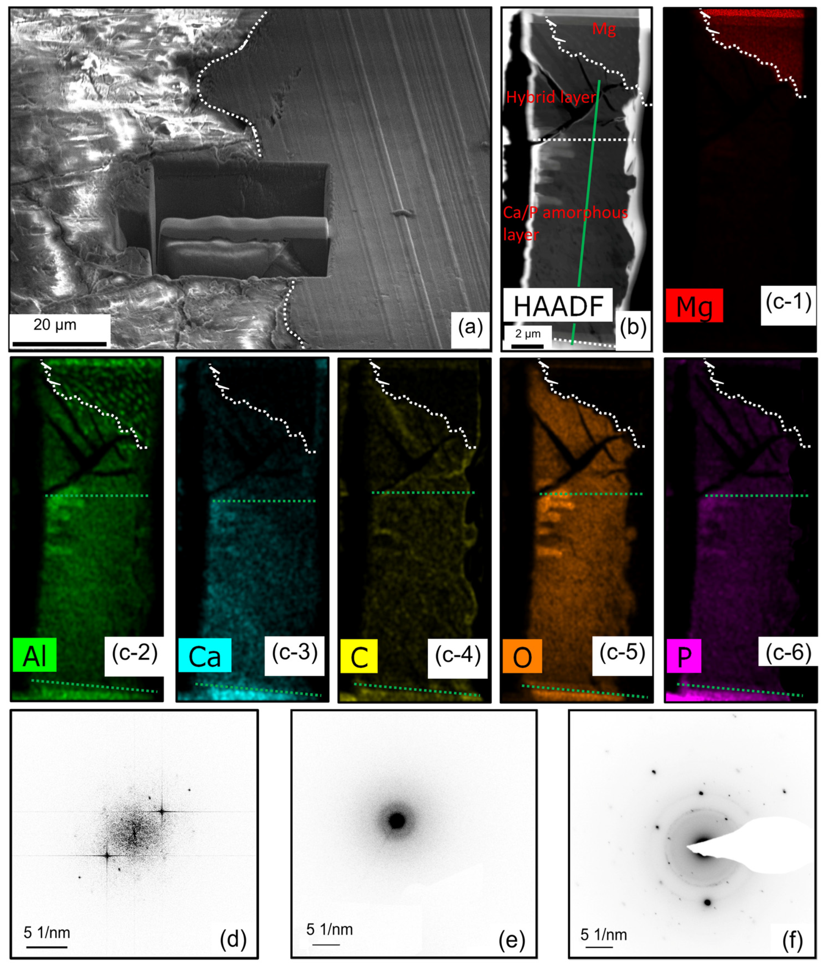 Materials 18 01500 g003