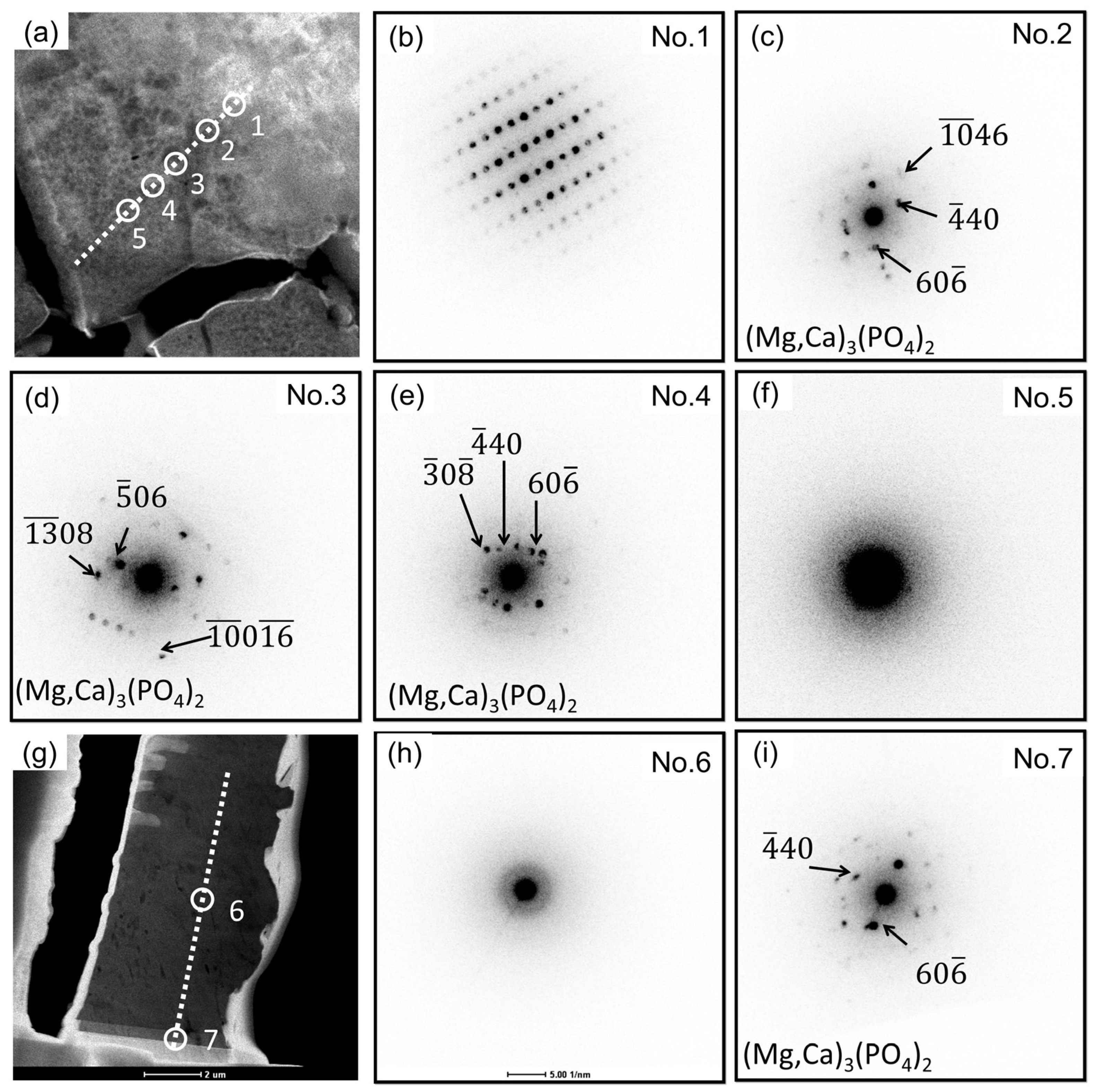 Materials 18 01500 g005