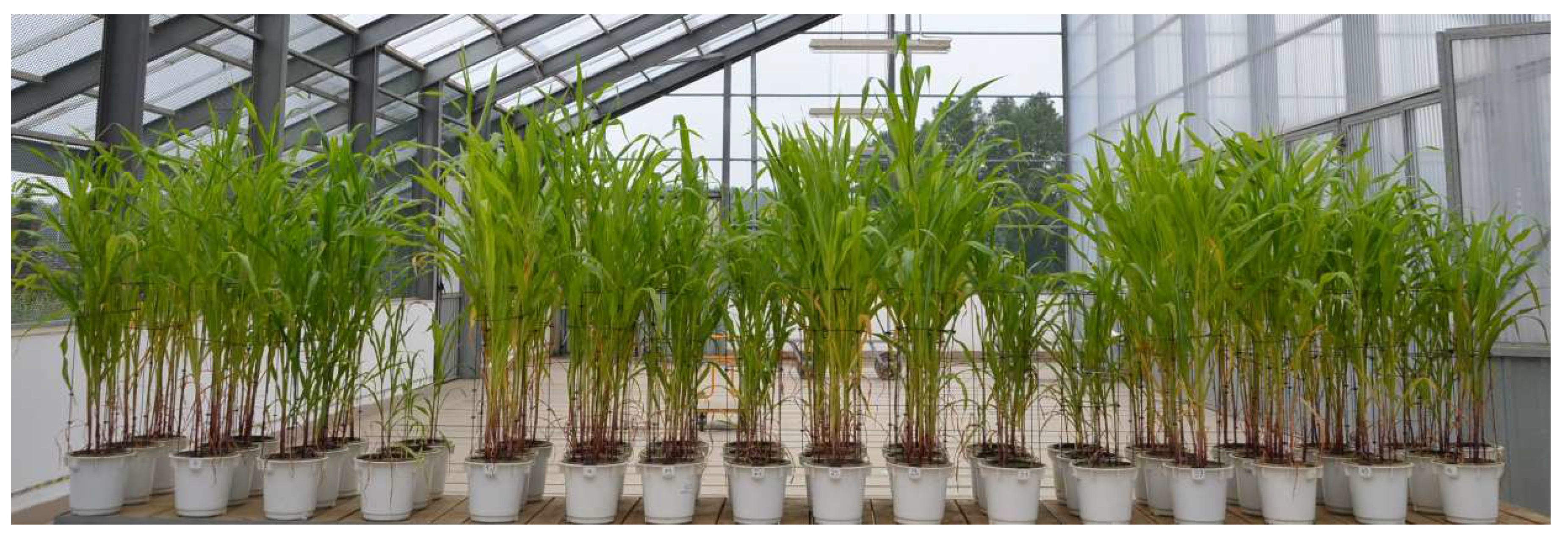 Materials 18 01522 g001 Materials 18 01522 g001