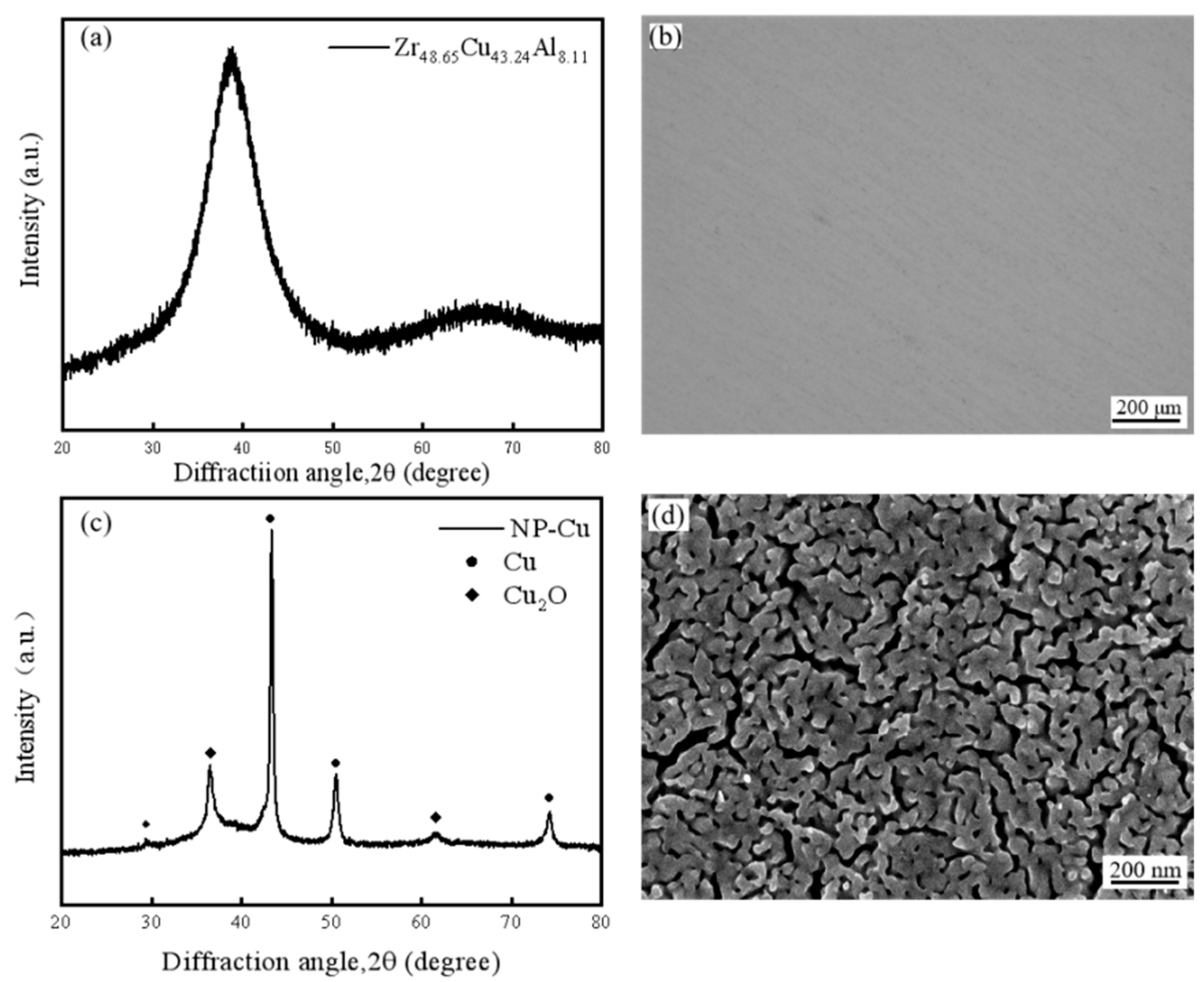 Materials 18 01529 g001