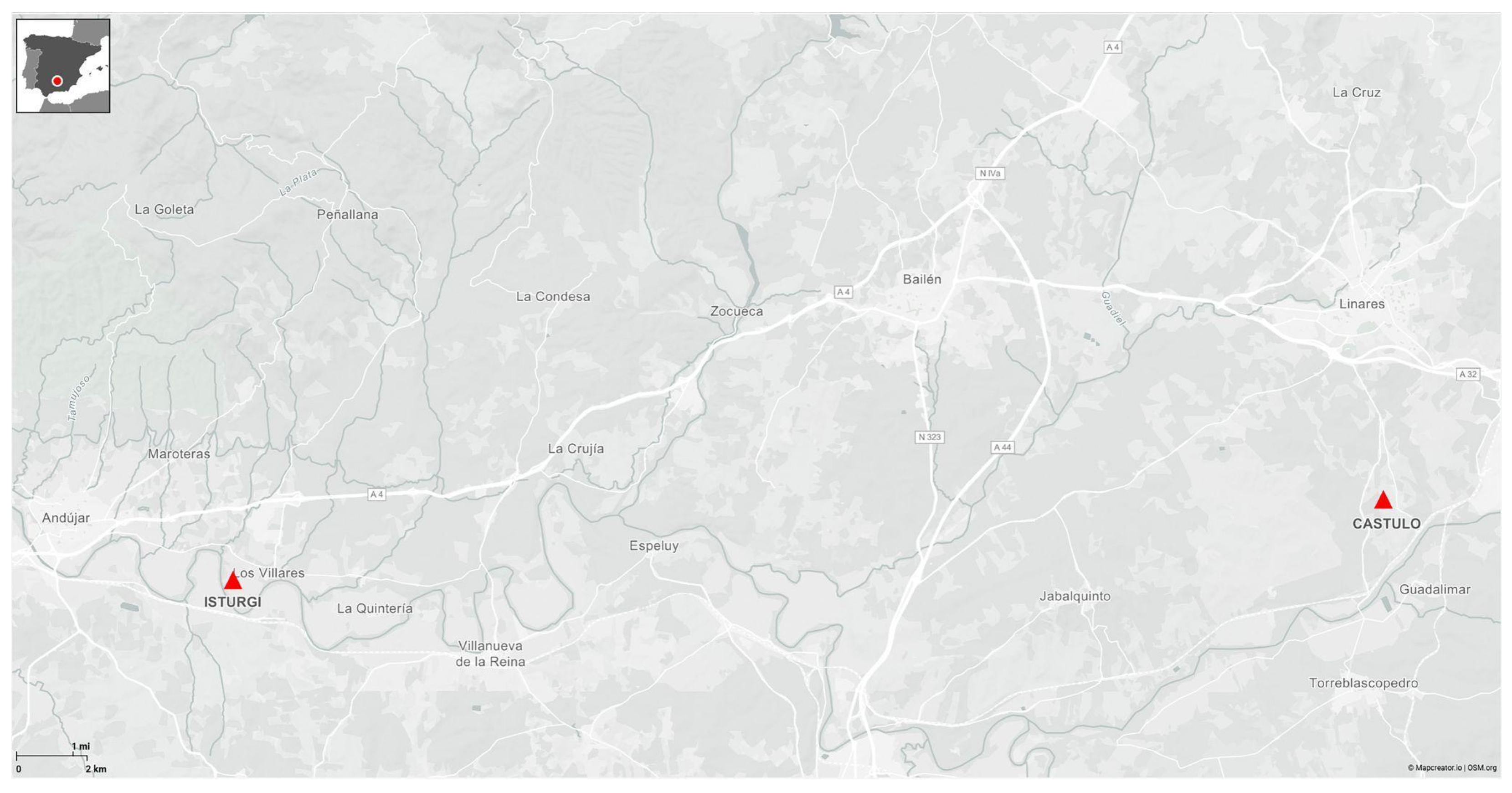 Materials 18 01533 g001