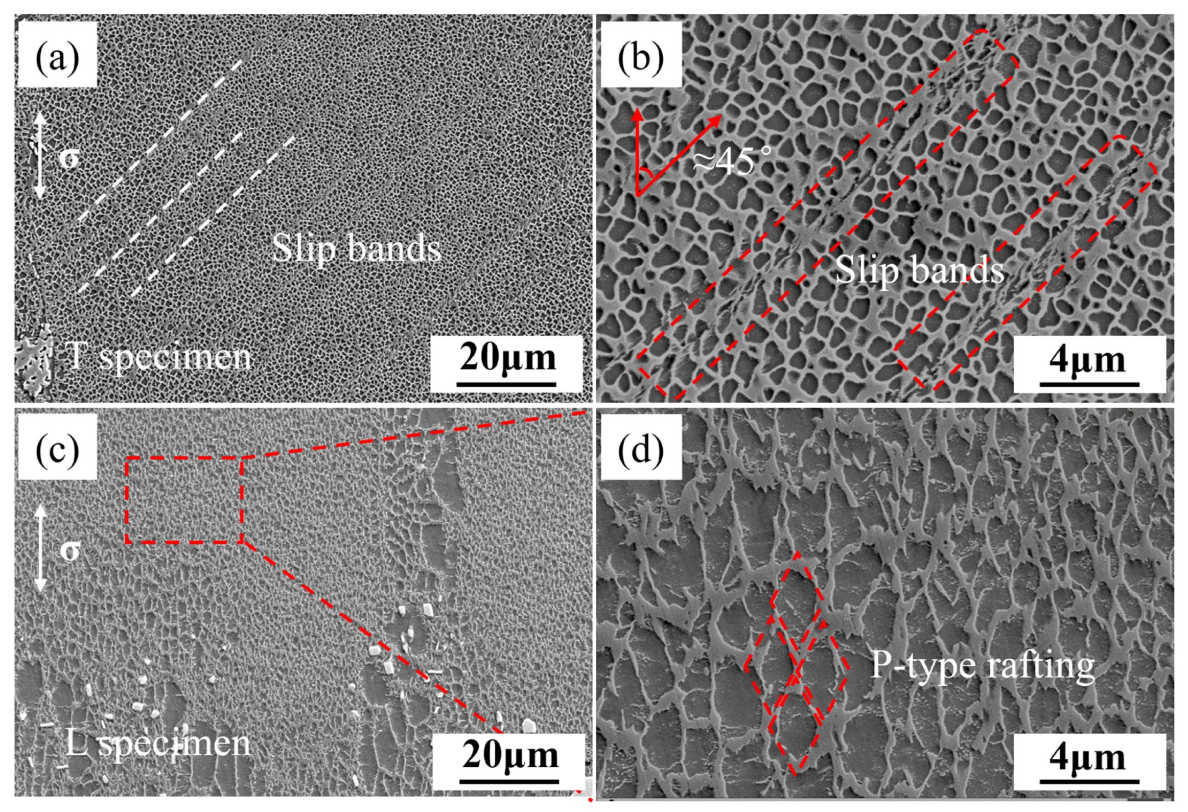 Materials 18 01540 g005
