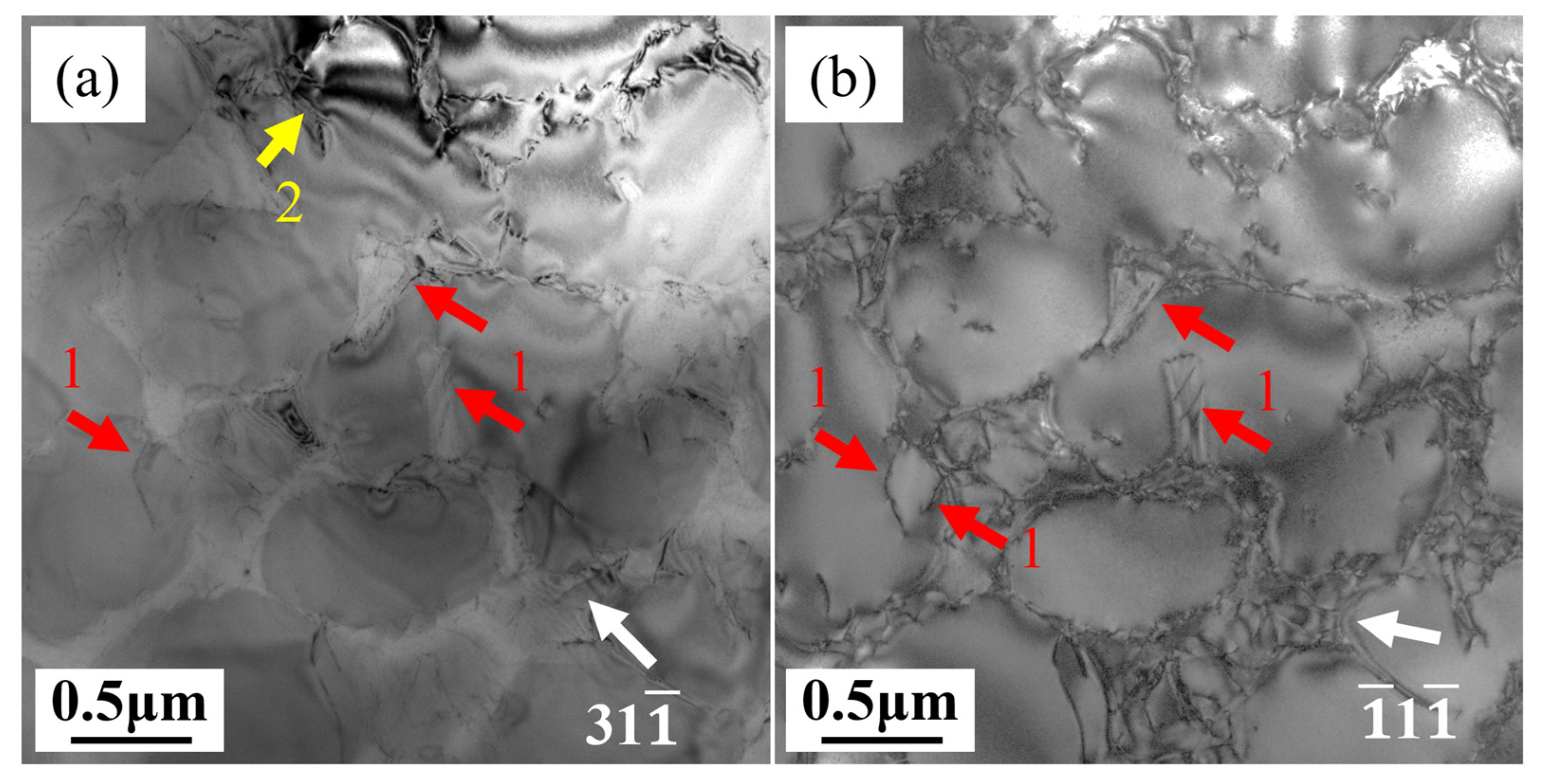 Materials 18 01540 g009a