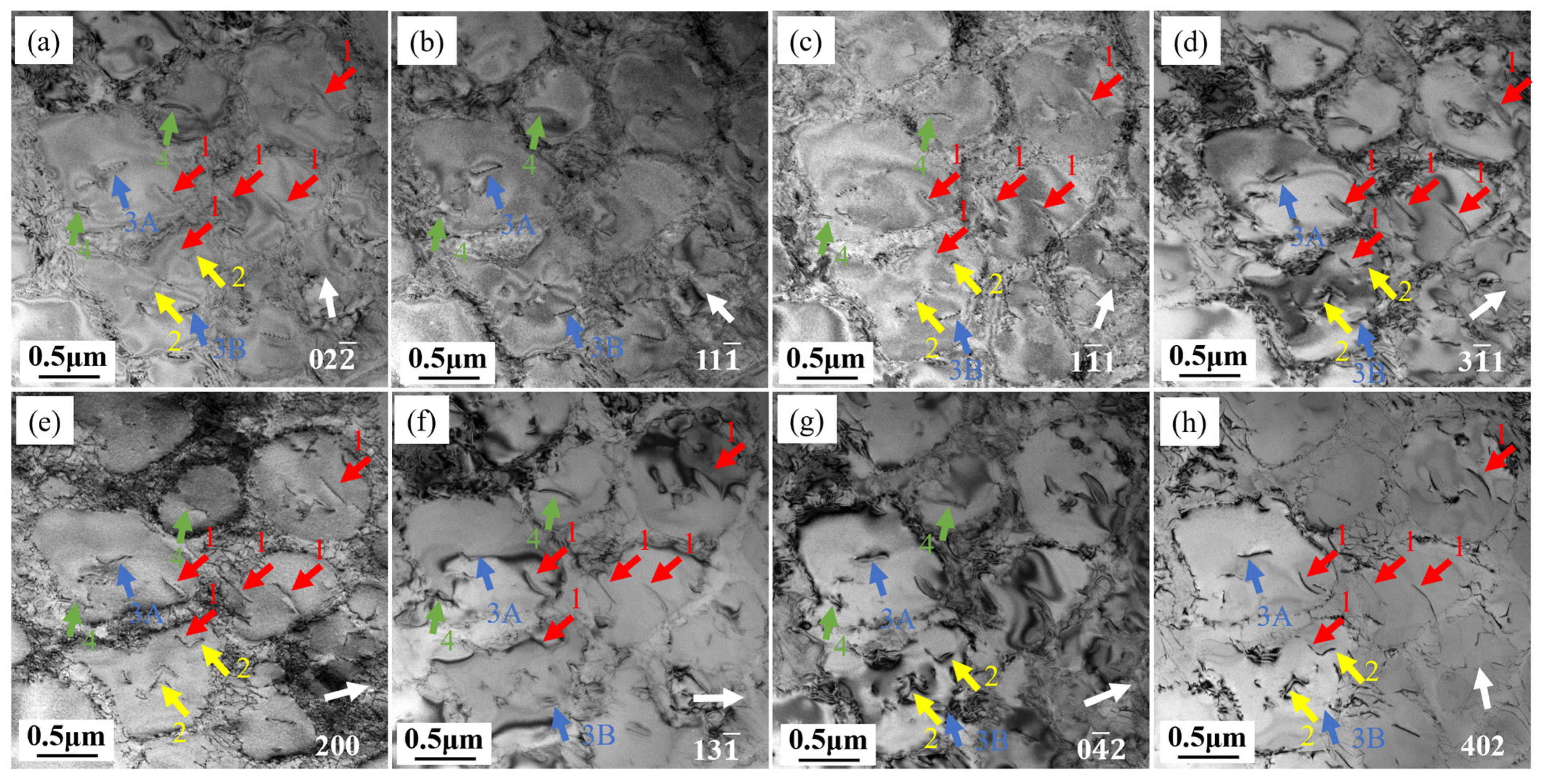 Materials 18 01540 g010