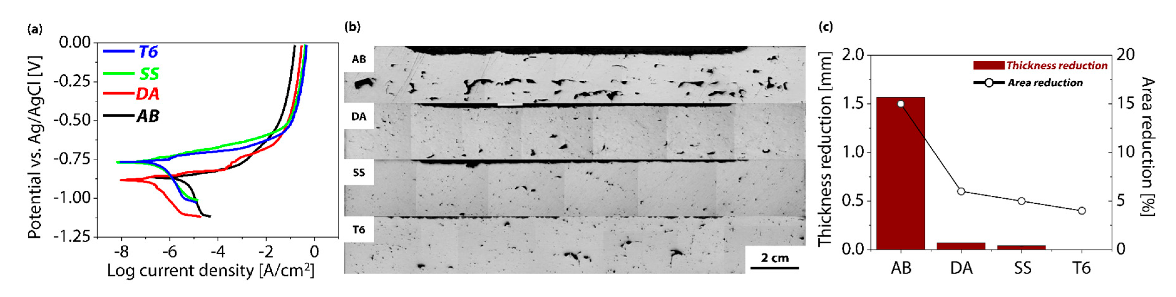 Materials 18 01544 g005