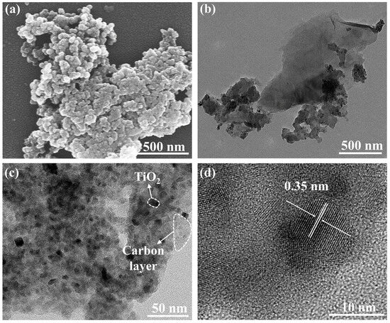 Bifunctional N-TiO2/C/PU Foam for Interfacial Water Evaporation