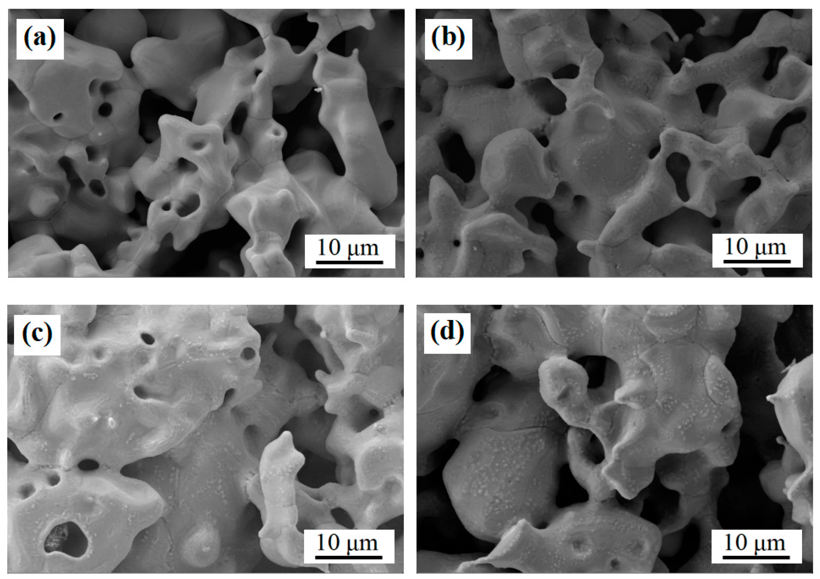 Materials 18 01564 g014