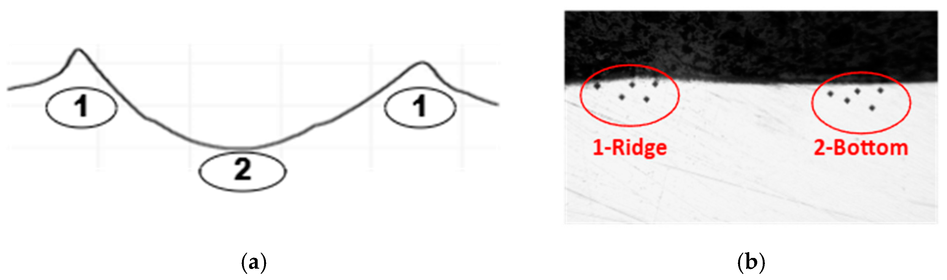 Materials 18 01565 g003