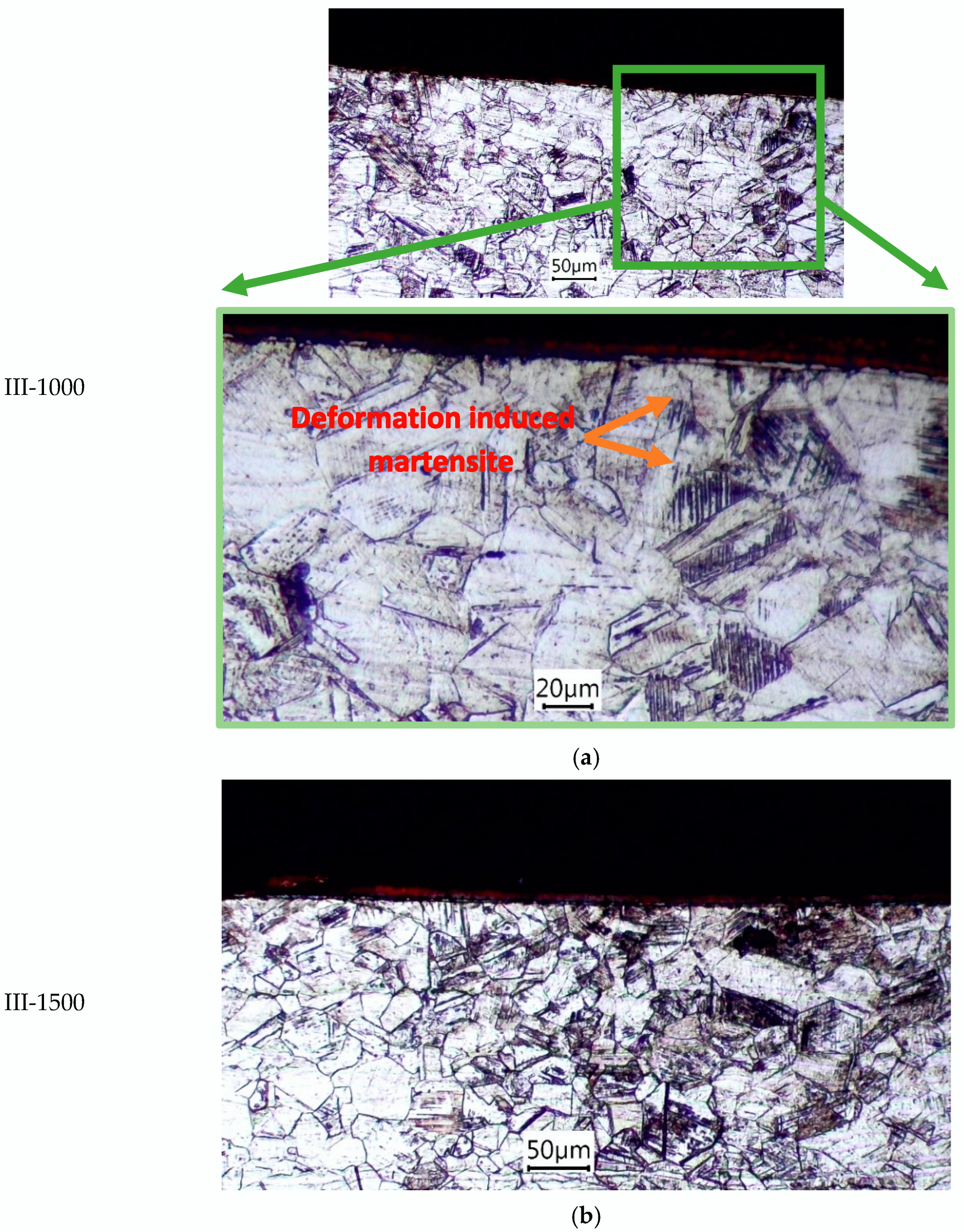 Materials 18 01565 g005
