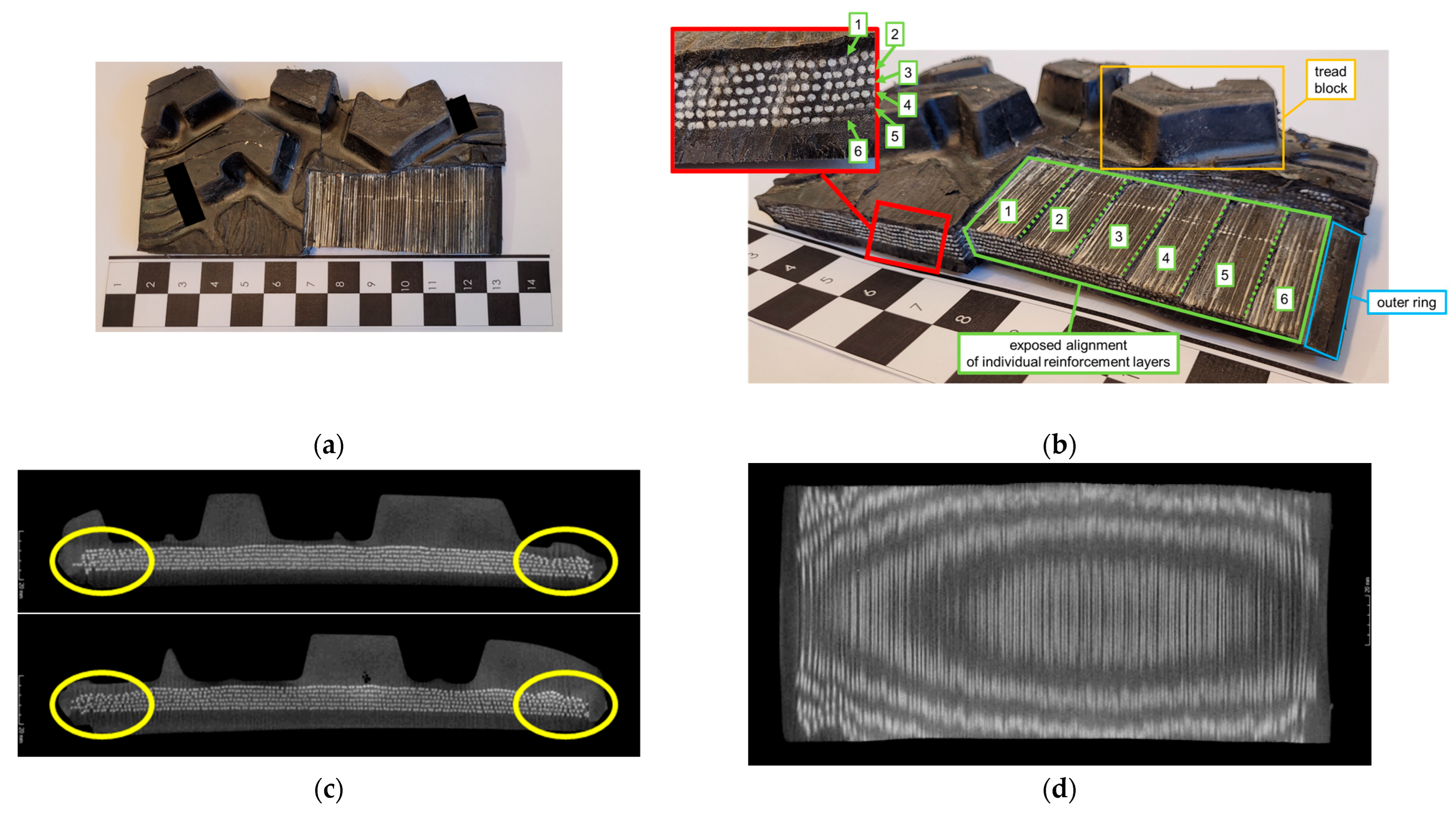 Materials 18 01566 g012