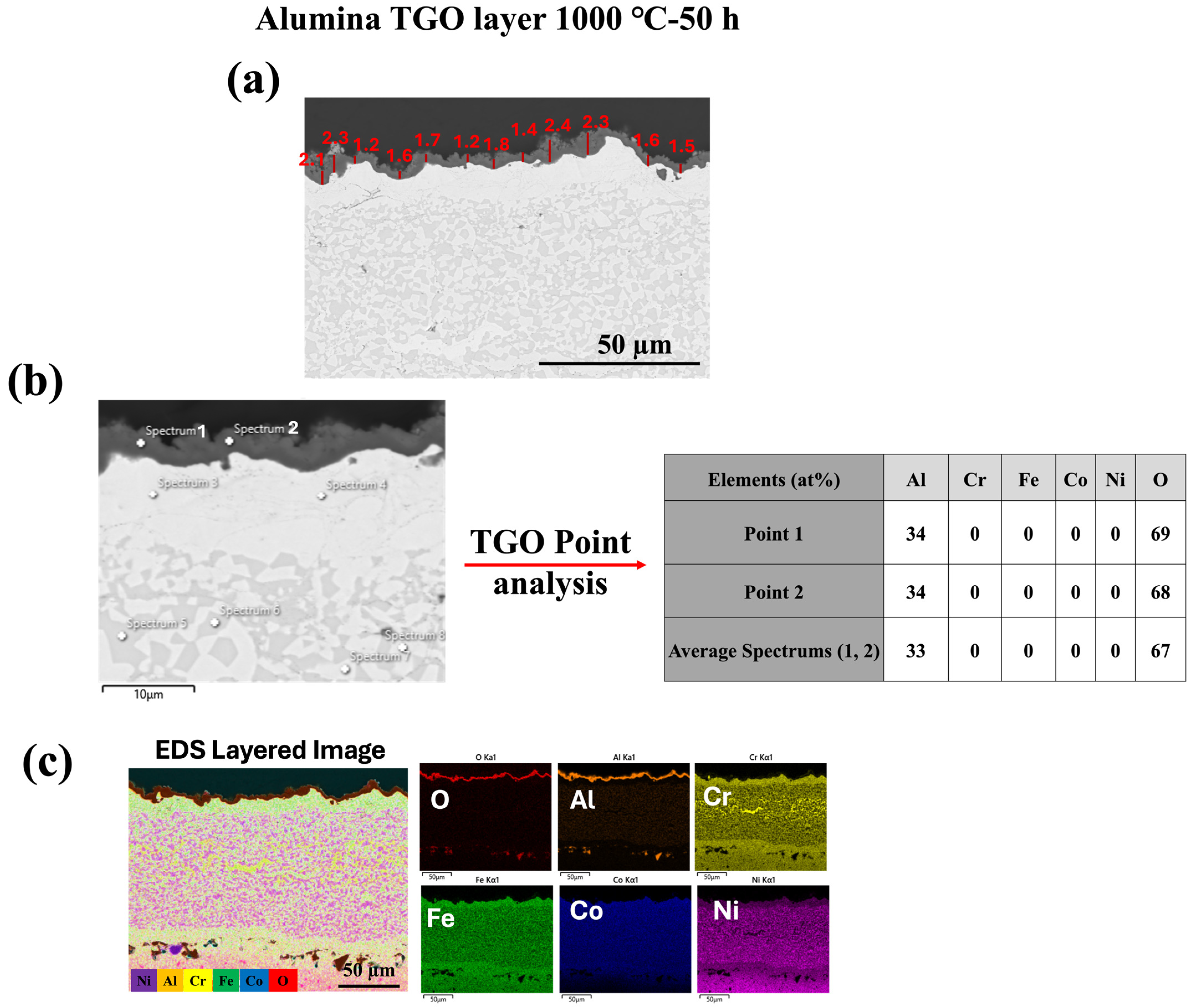 Materials 18 01569 g005