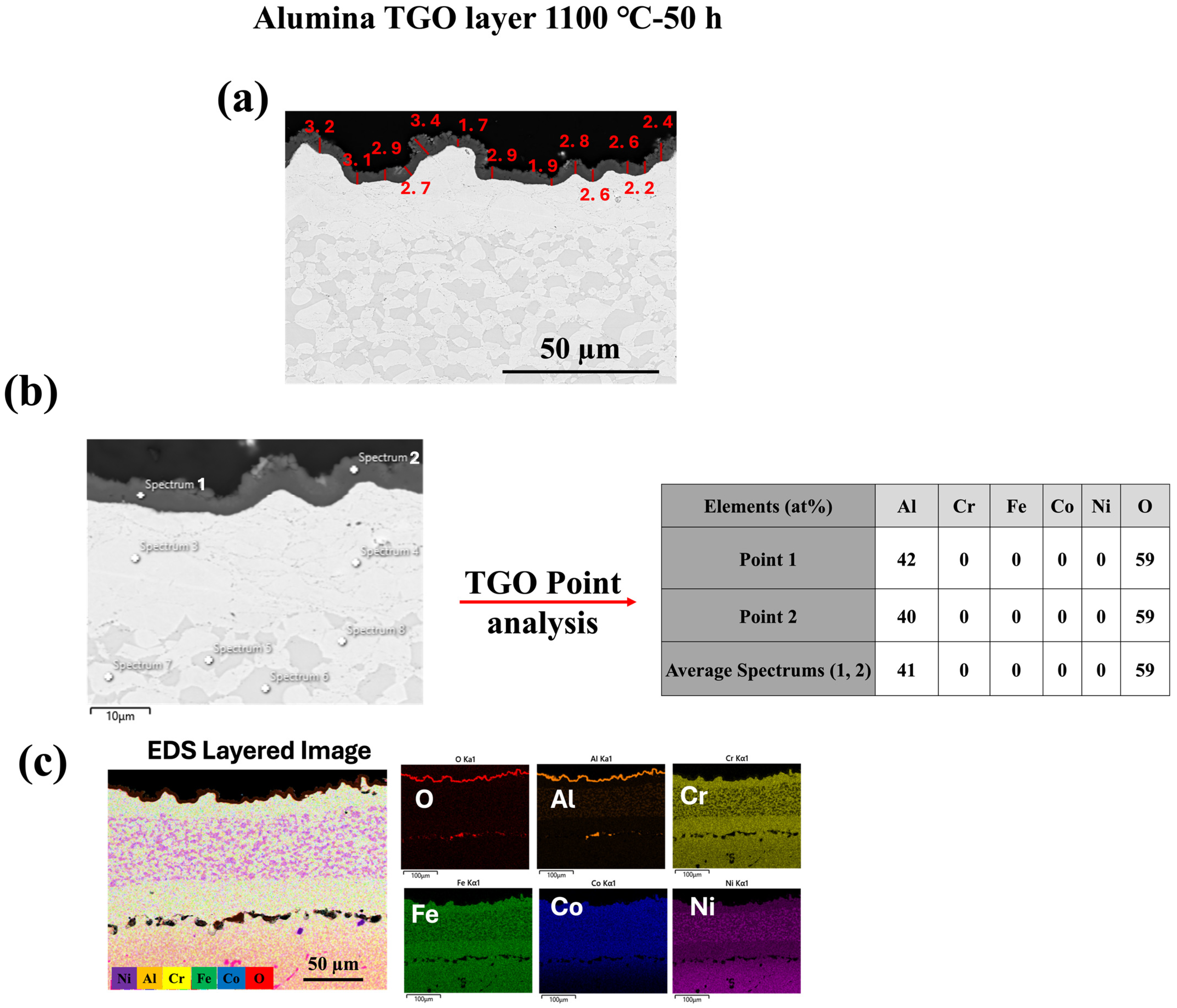 Materials 18 01569 g006