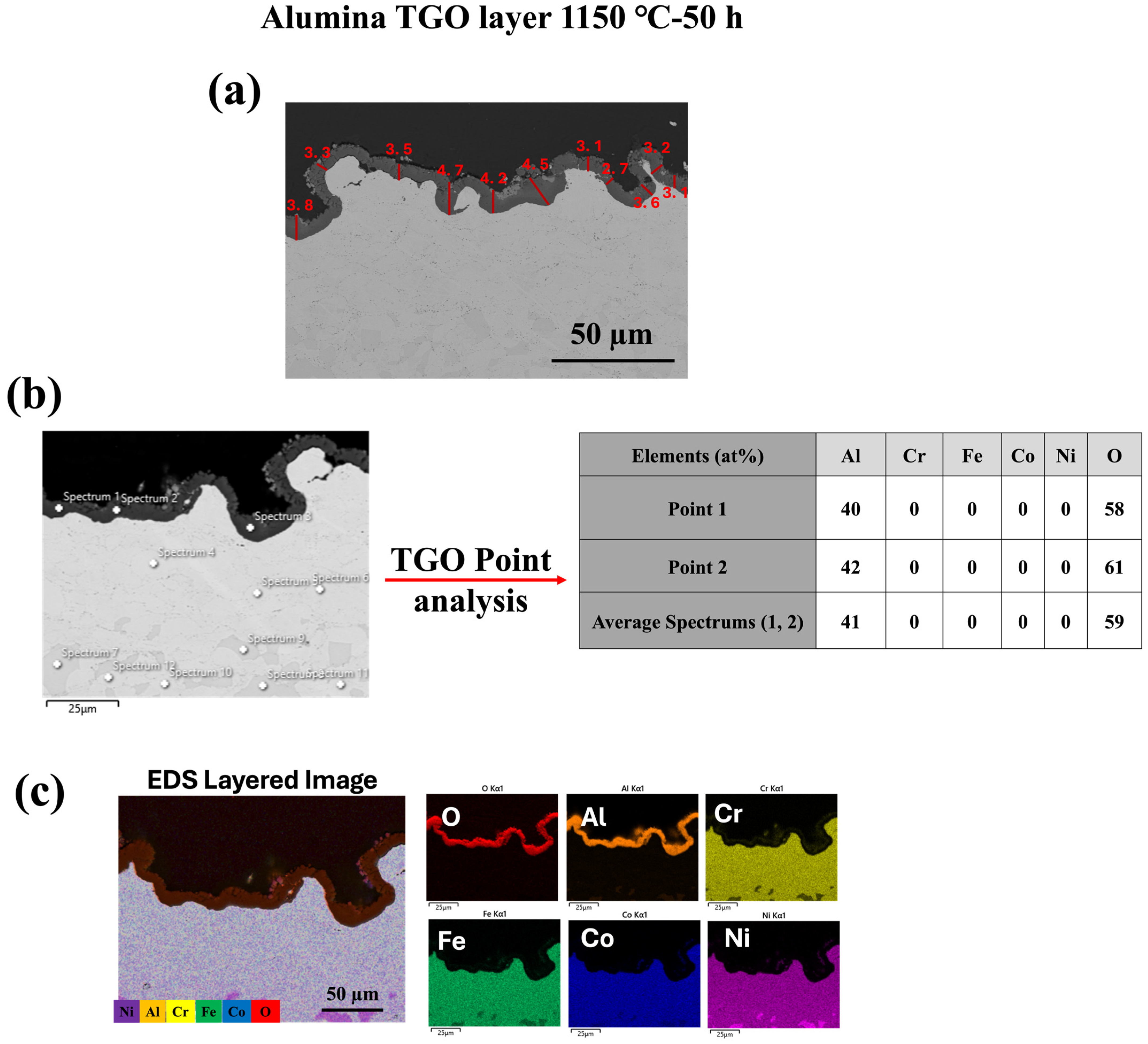 Materials 18 01569 g007