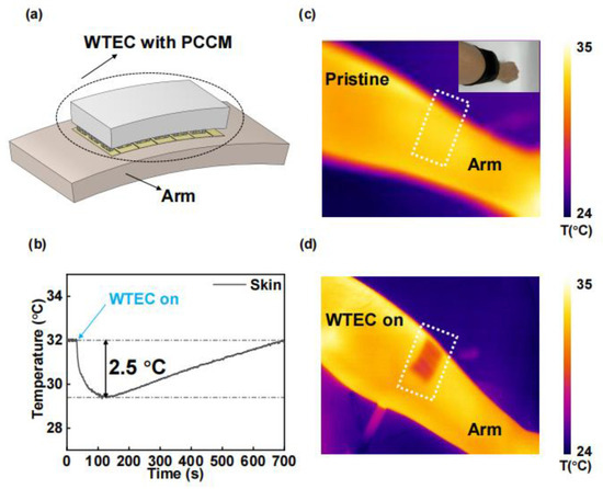 18、21、23 Performance Study of Wearable Thermoelectric Cooler with