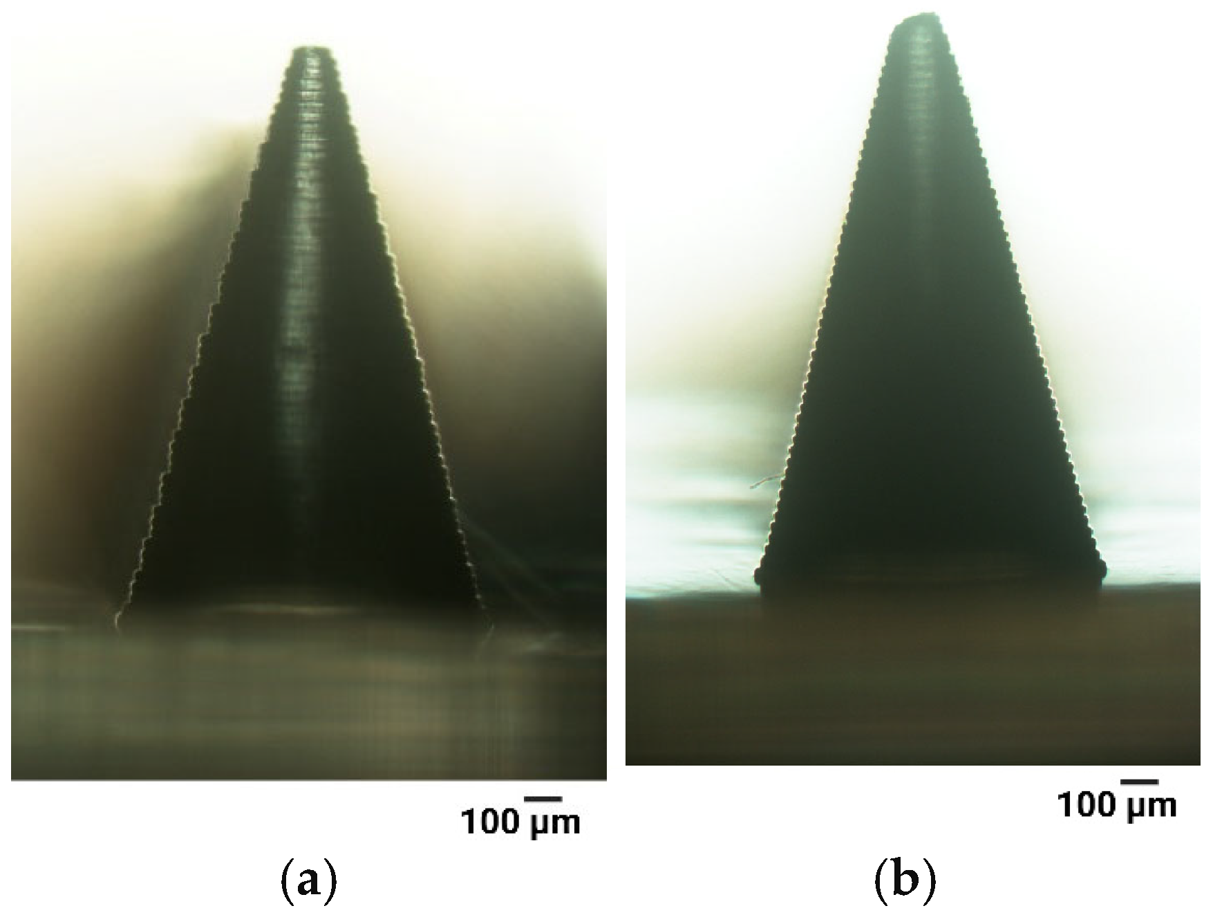 Materials 18 01580 g004