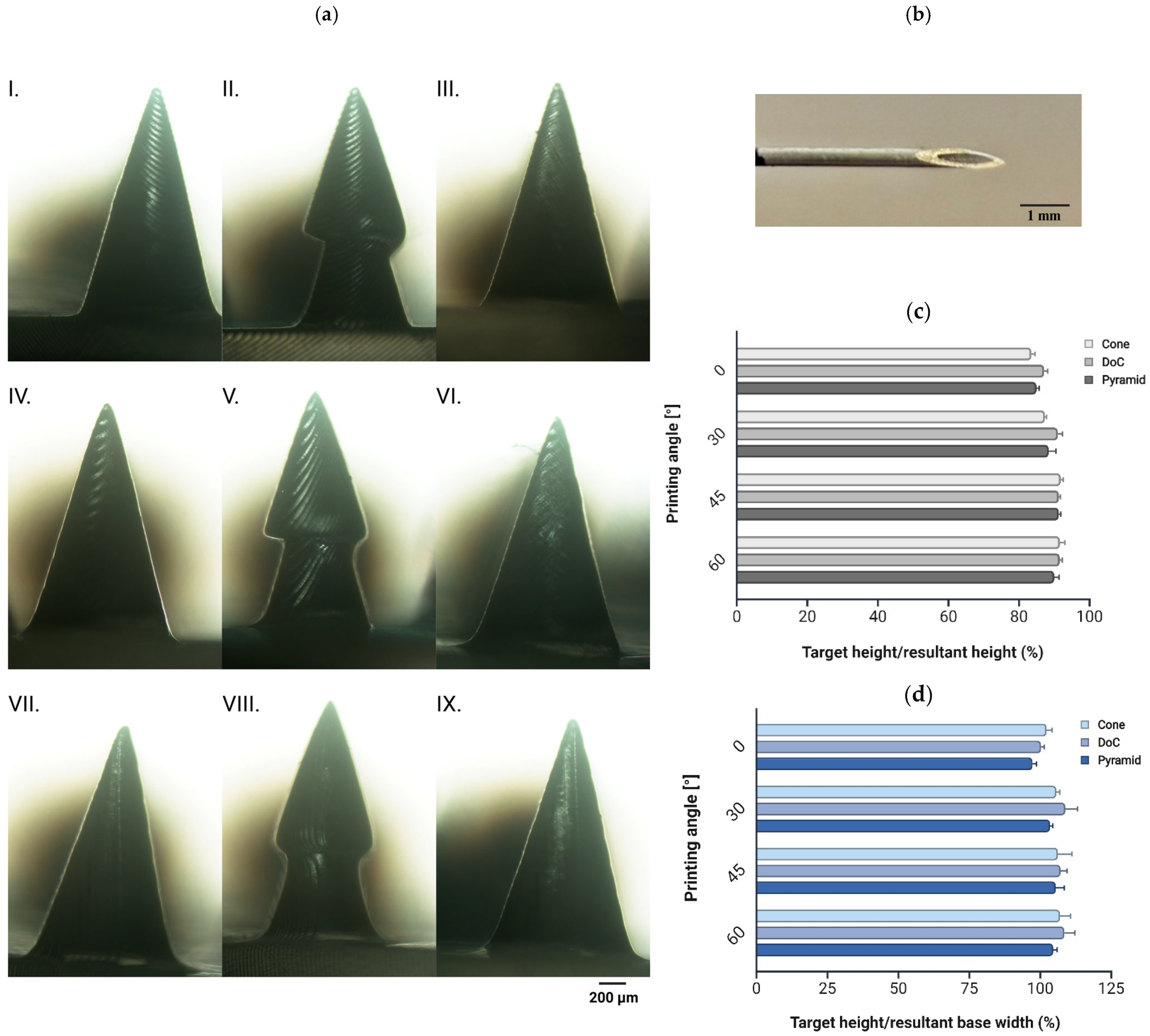 Materials 18 01580 g006