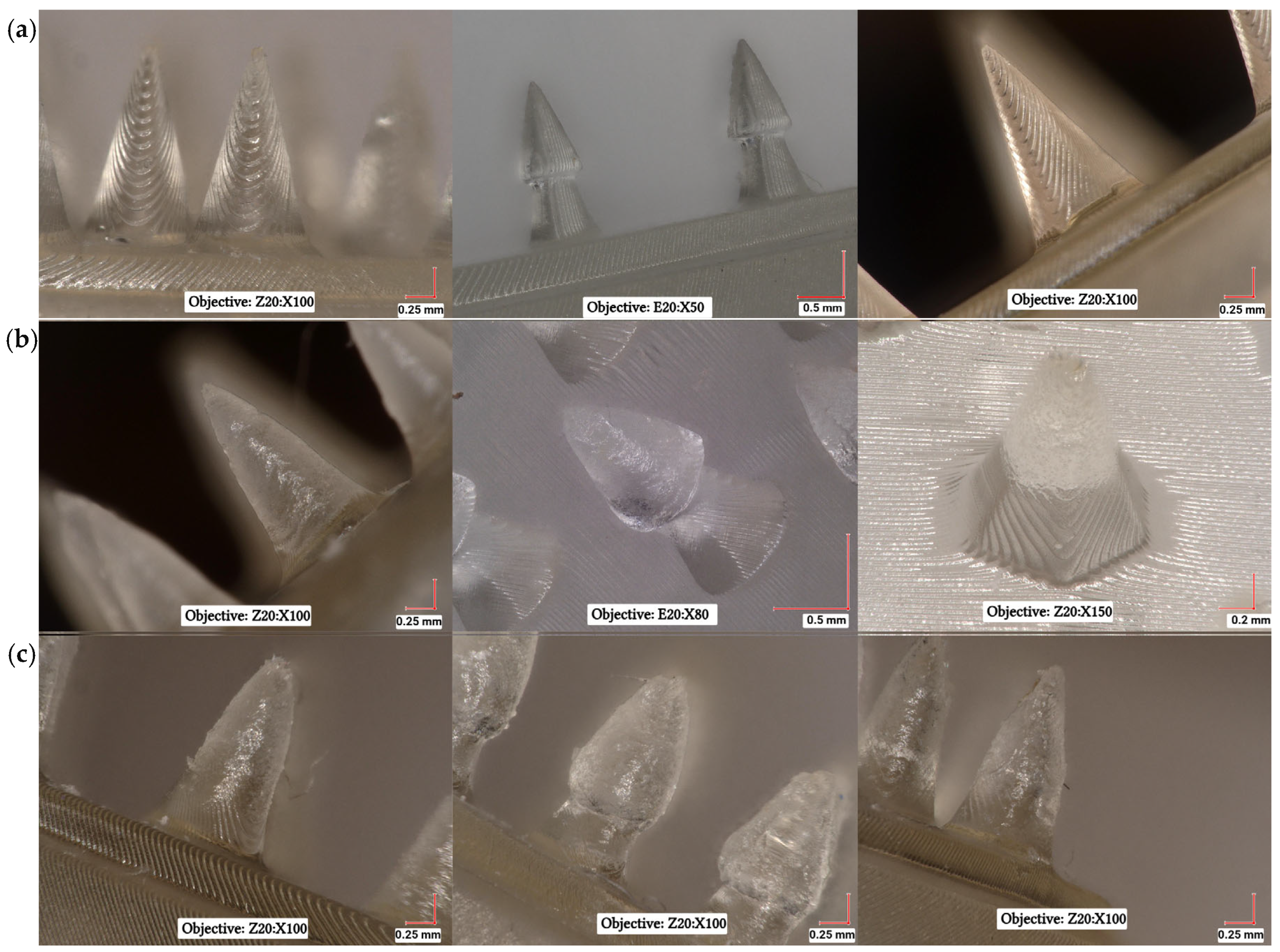 Materials 18 01580 g010