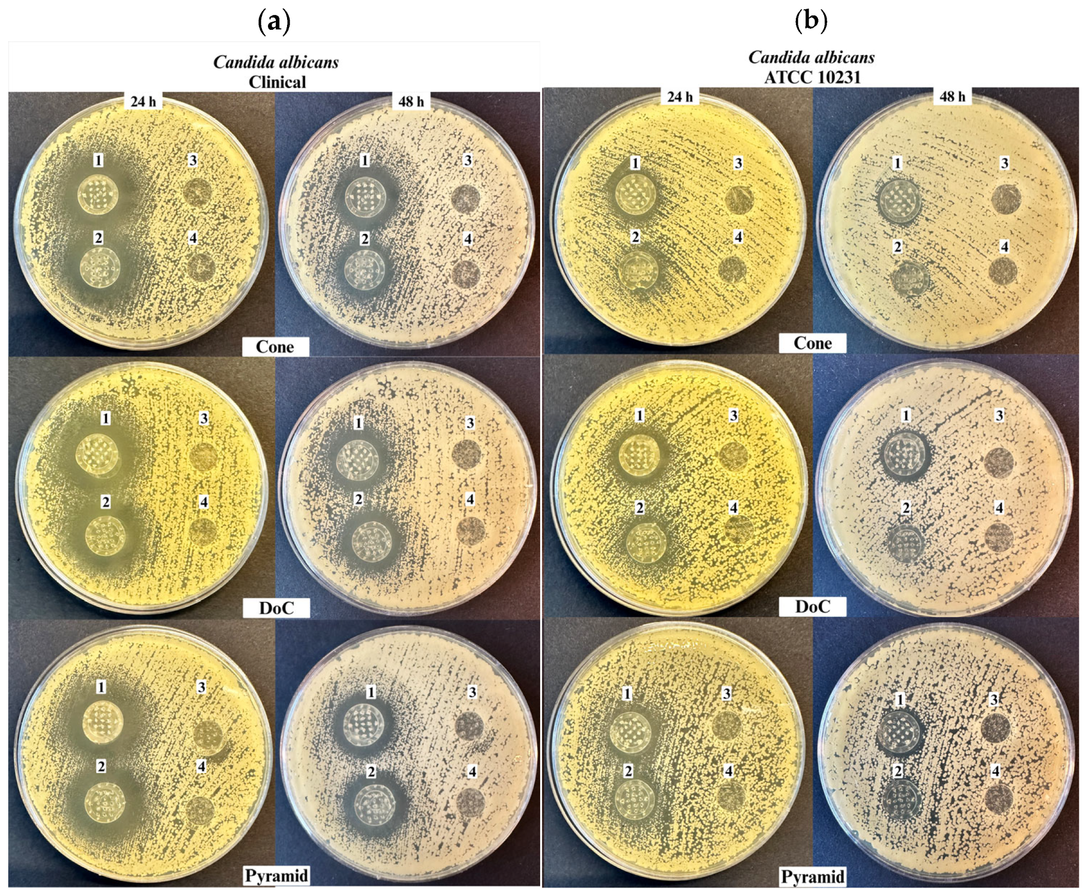 Materials 18 01580 g012a