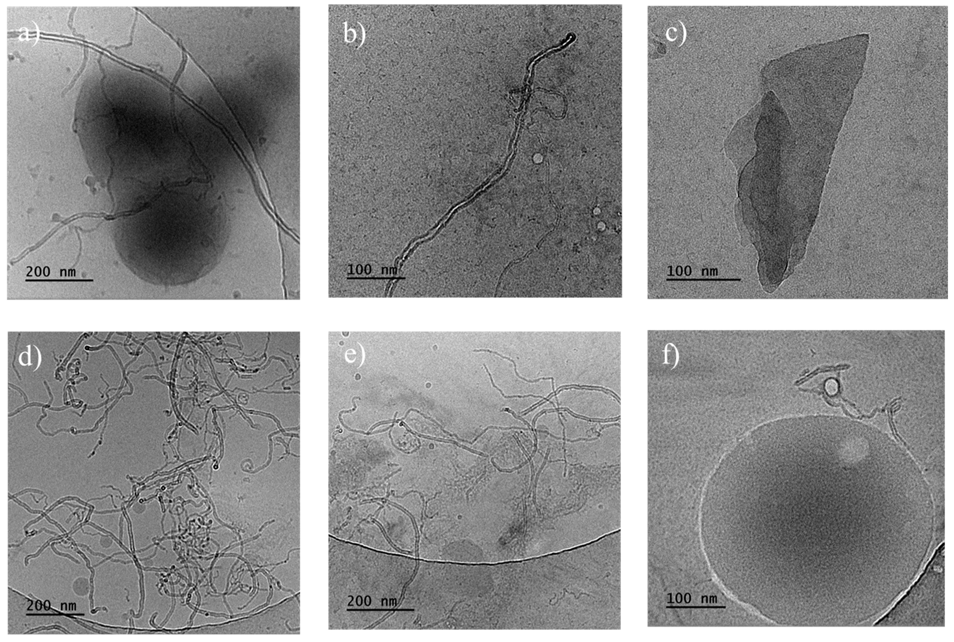 Materials 18 01585 g006