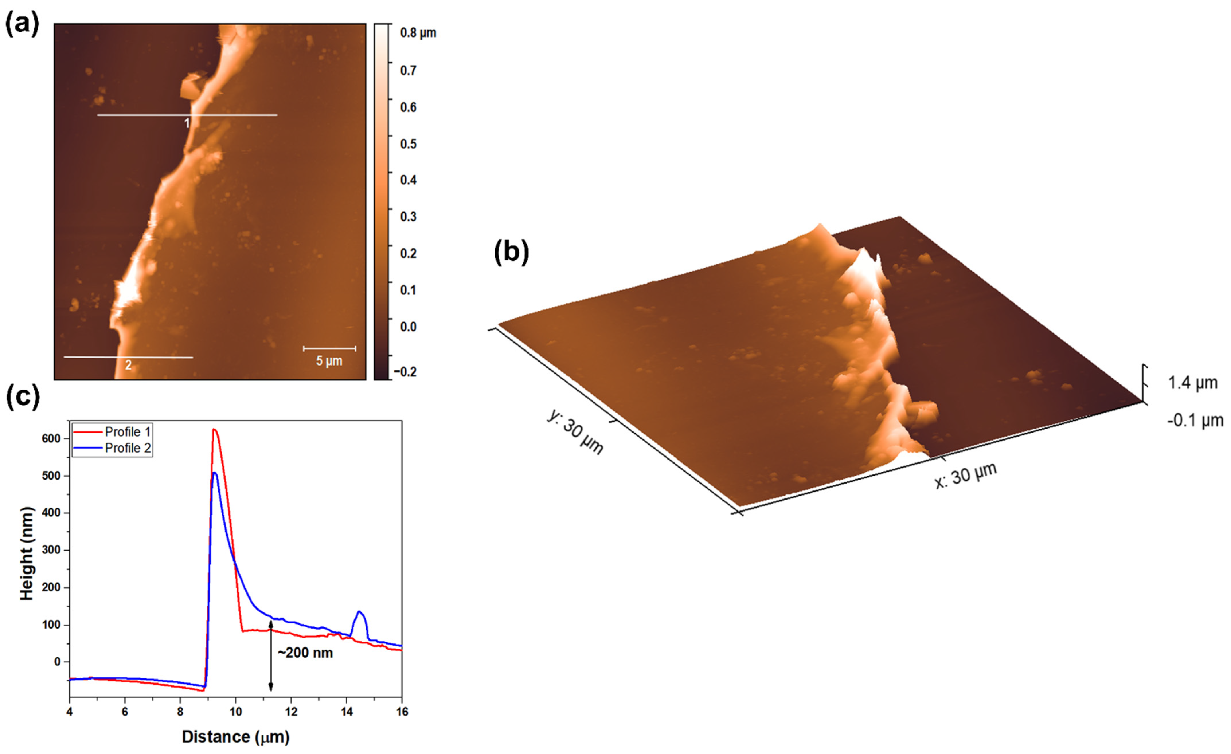 Materials 18 01593 g004