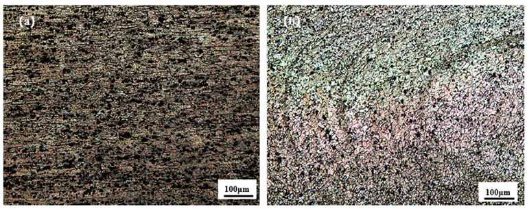 Materials 18 01621 g010