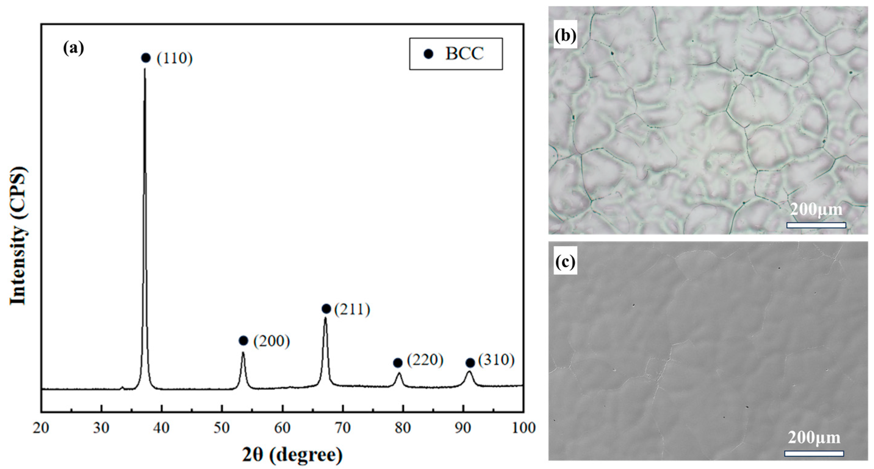 Materials 18 01643 g001