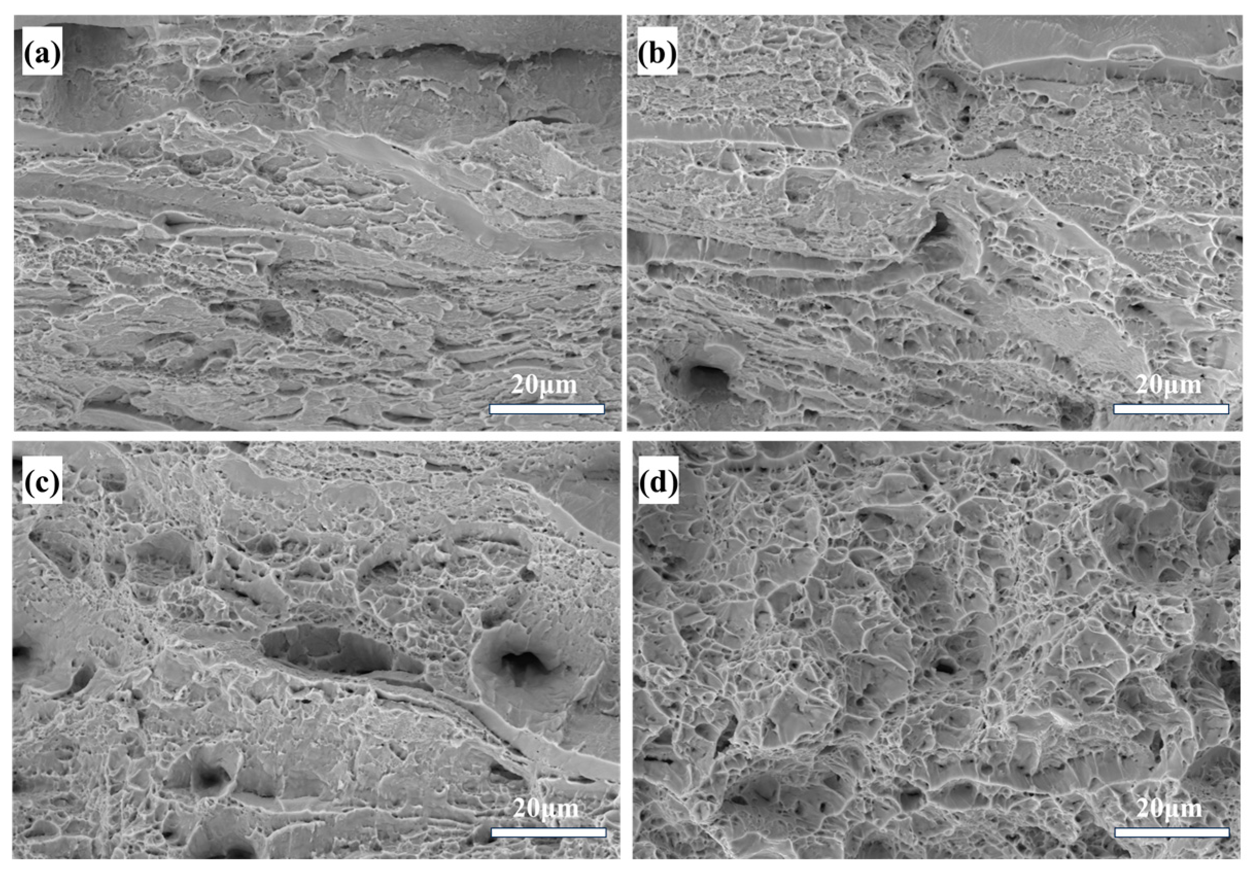 Materials 18 01643 g013