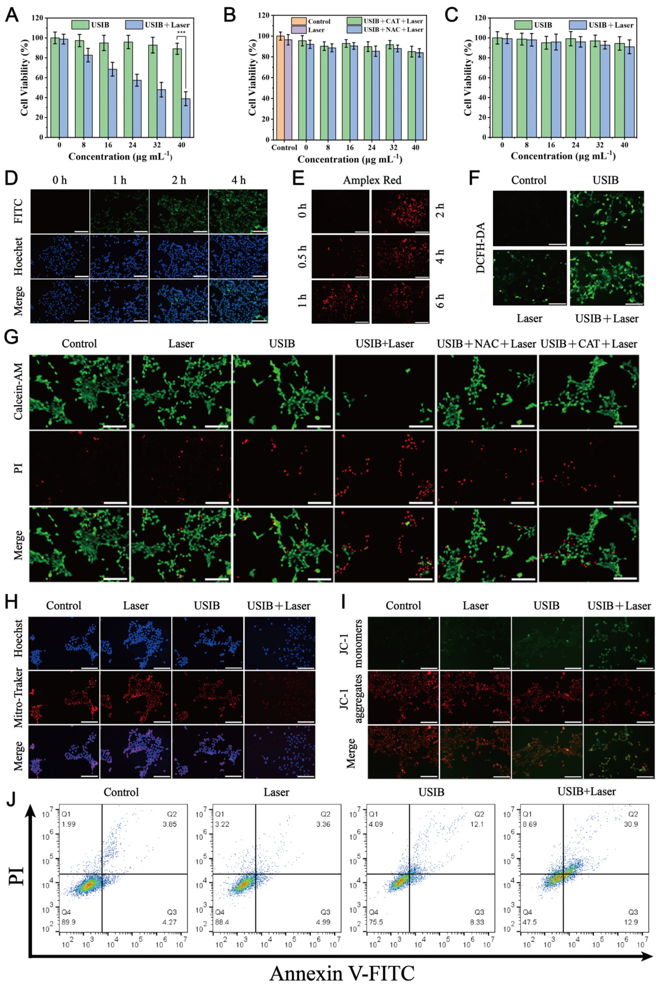 Materials 18 01649 g003