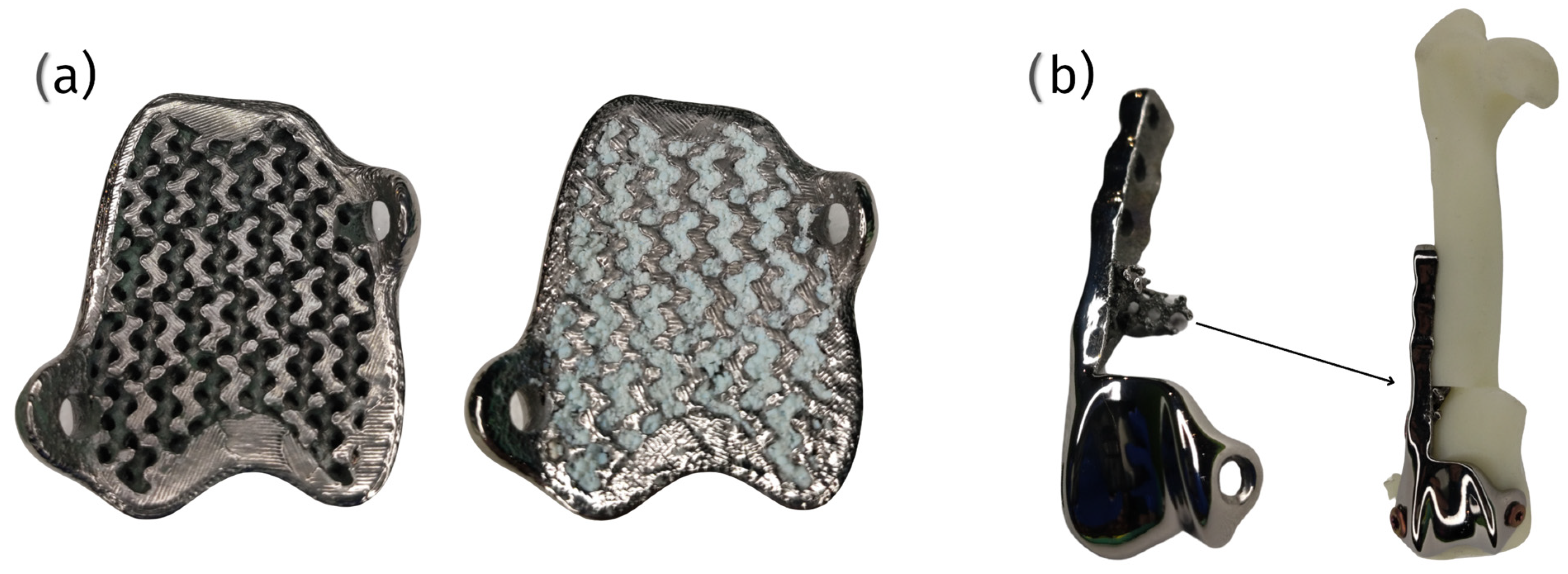 Materials 18 01652 g010