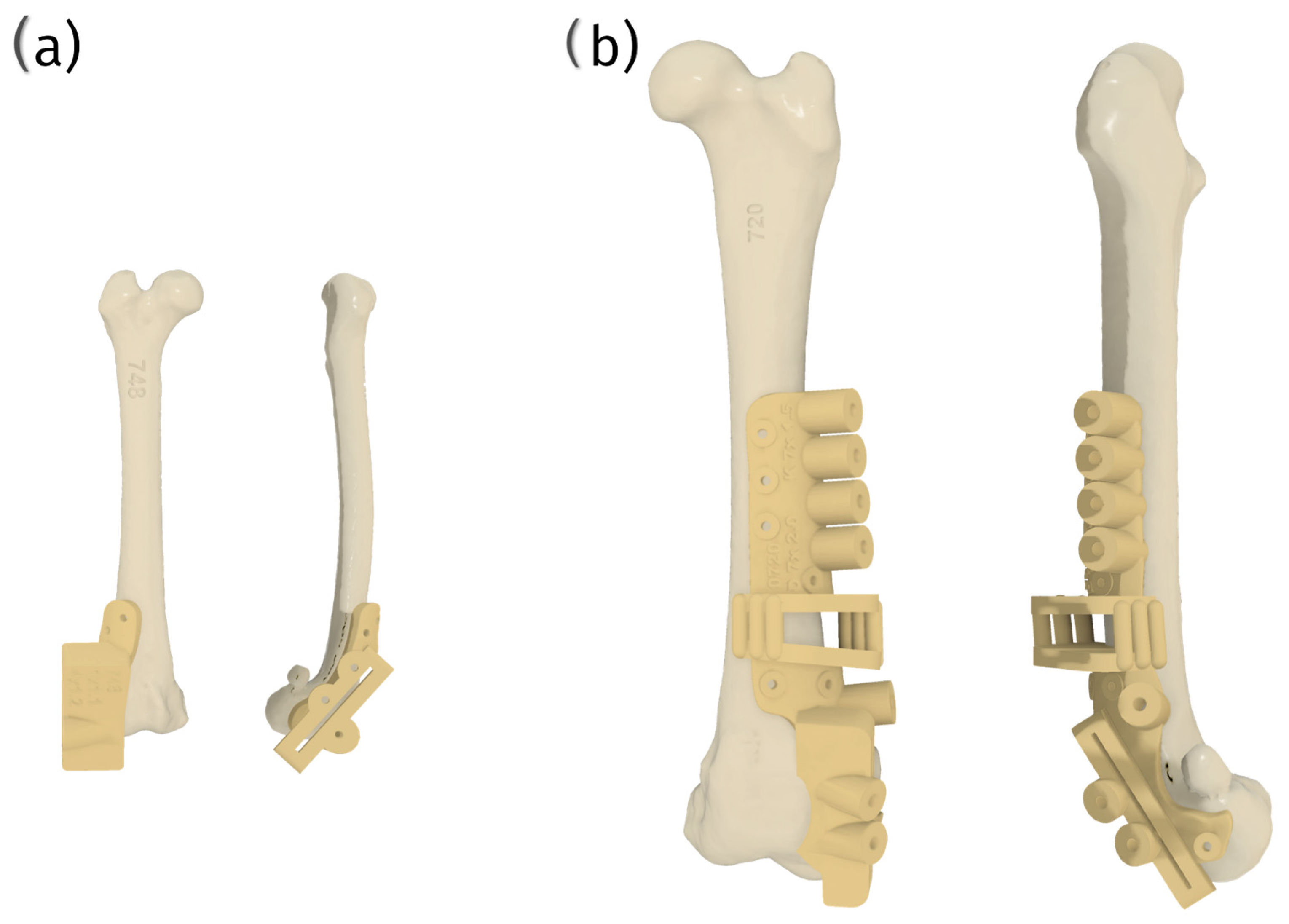 Materials 18 01652 g012