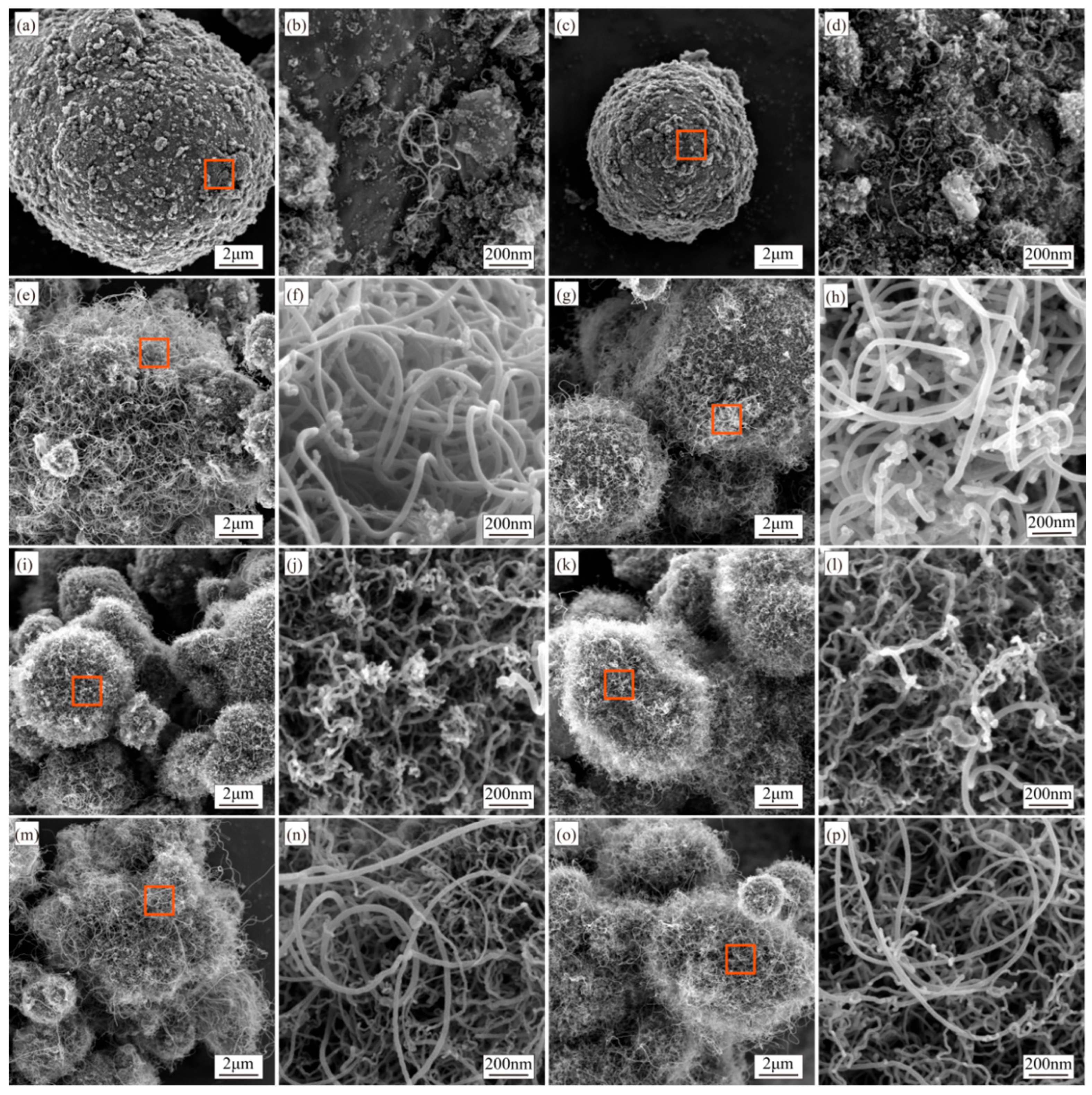 Materials 18 01654 g005