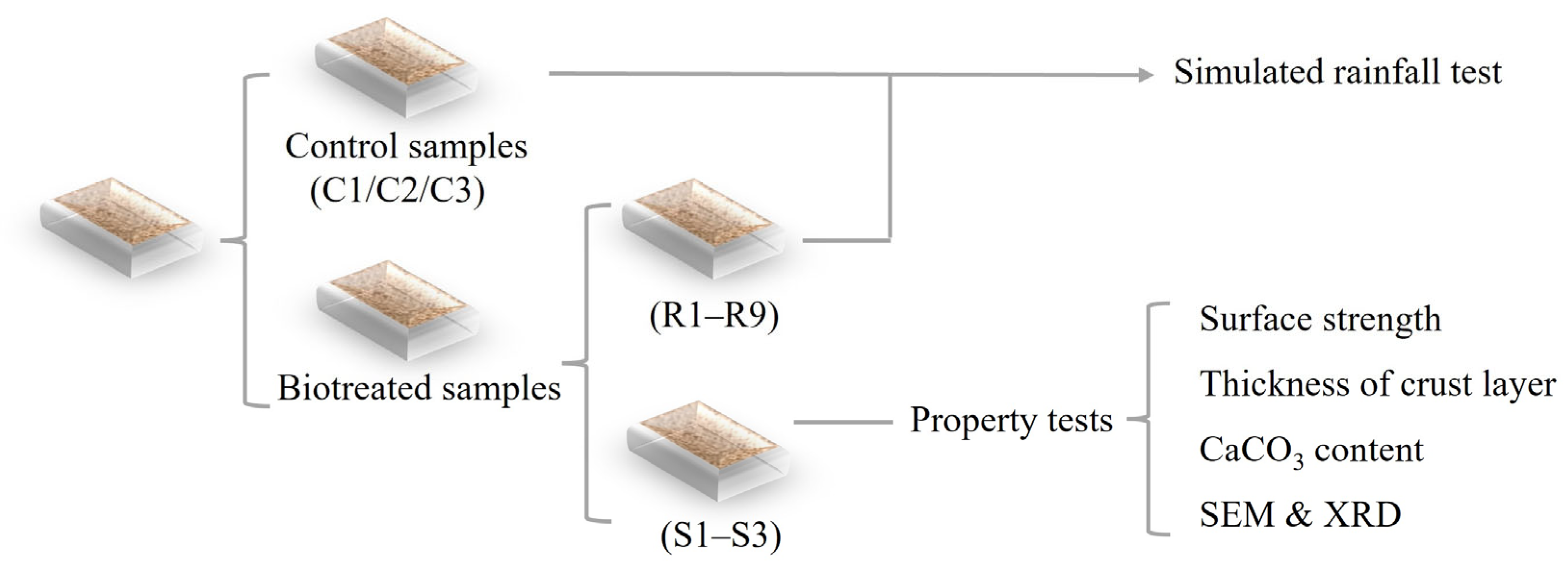 Materials 18 01662 g002