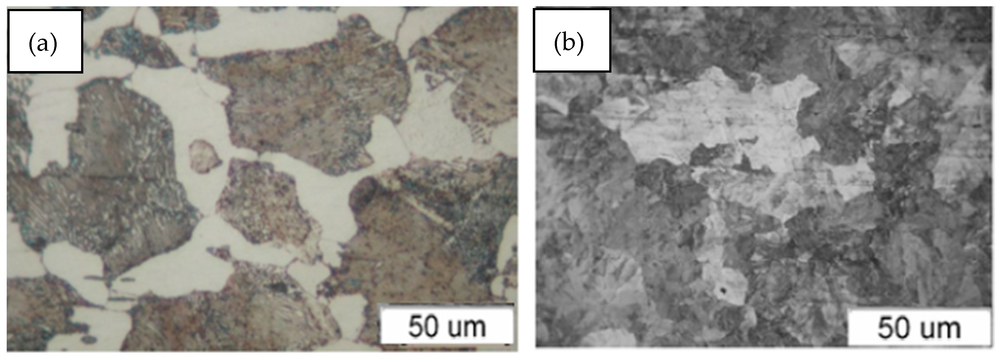 Materials 18 01672 g003