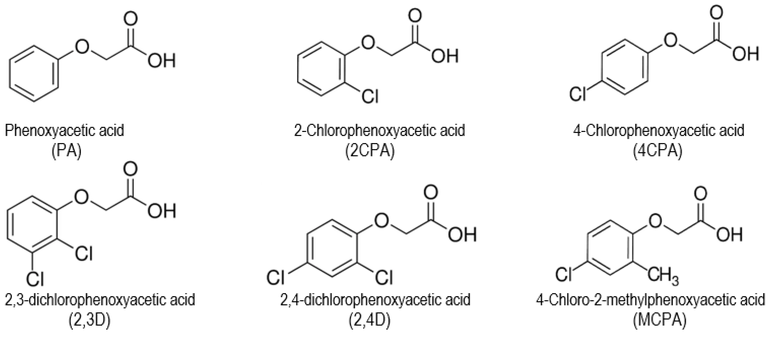 Materials 18 01680 g001