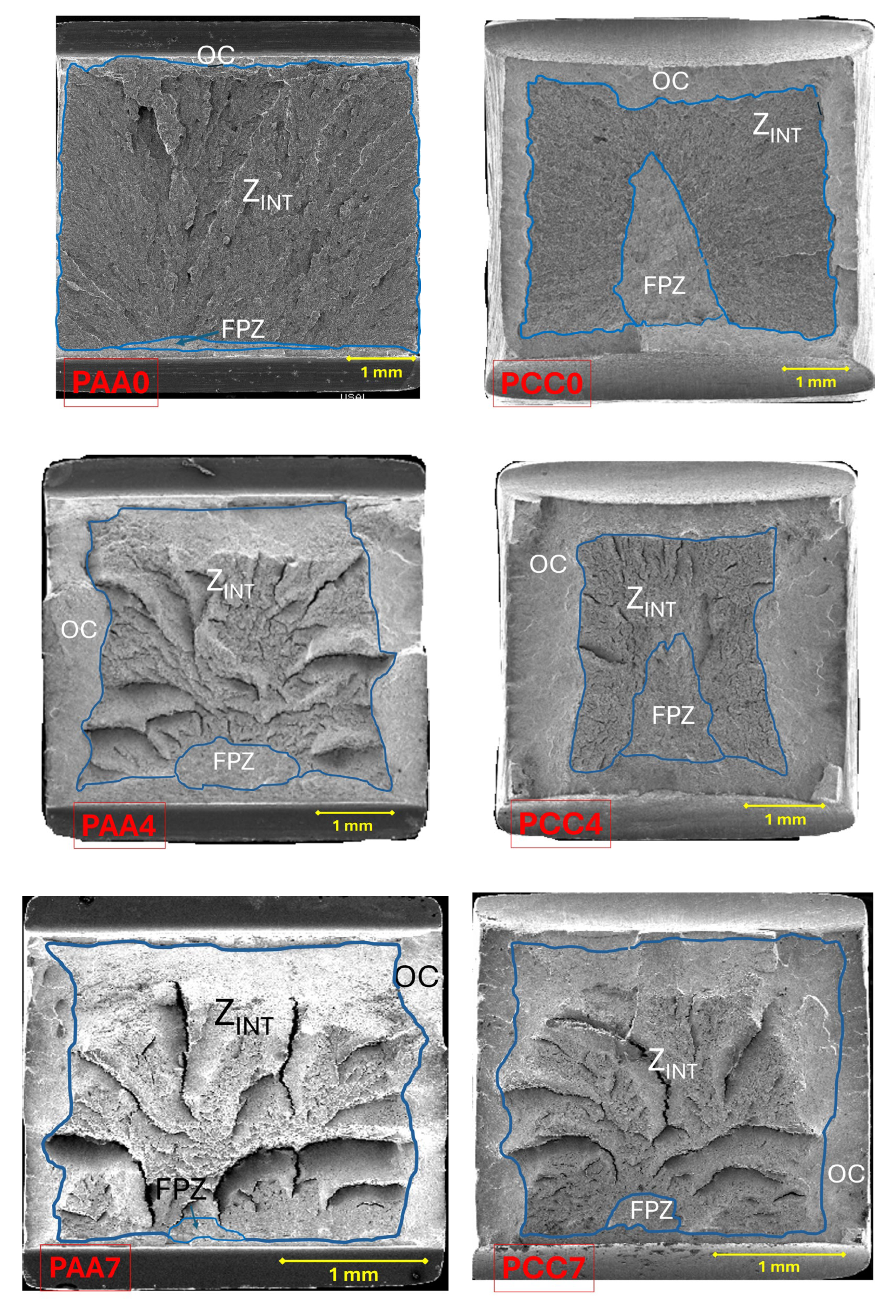 Materials 18 01690 g006