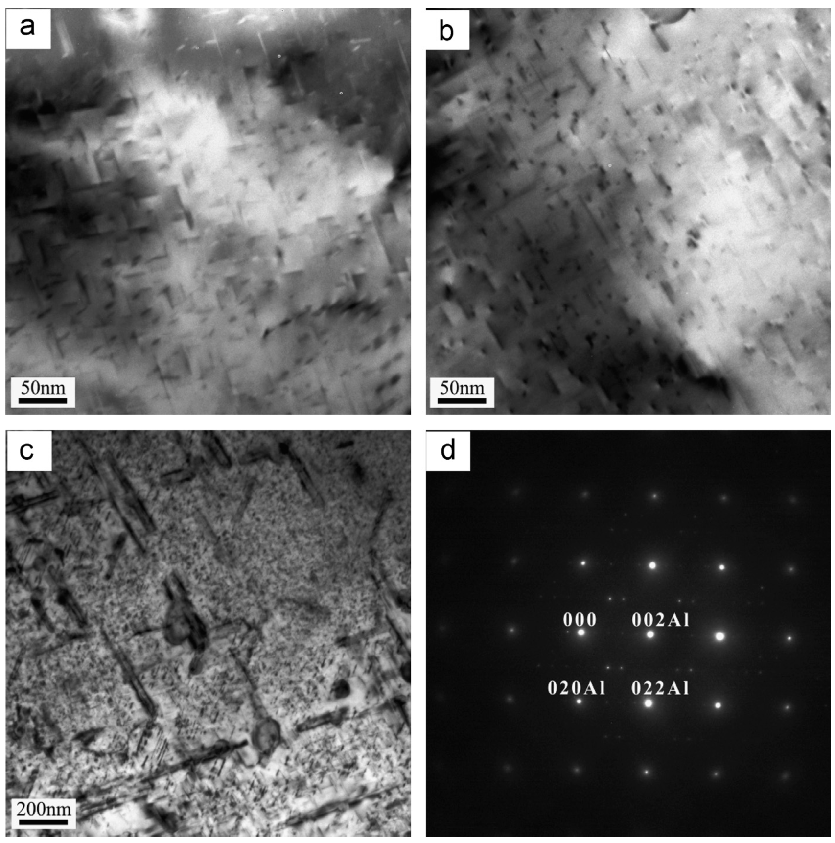 Materials 18 01694 g012