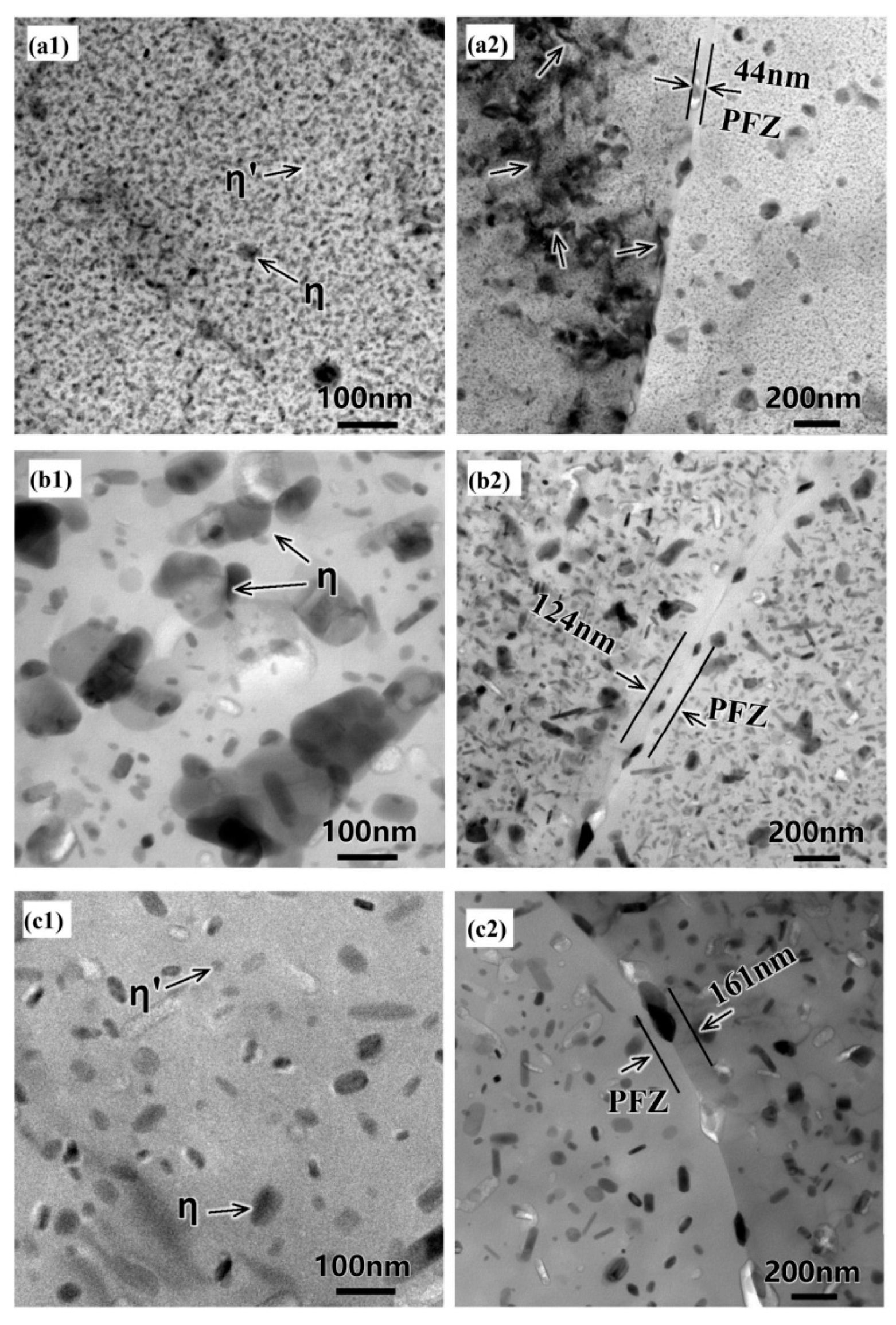 Materials 18 01694 g046