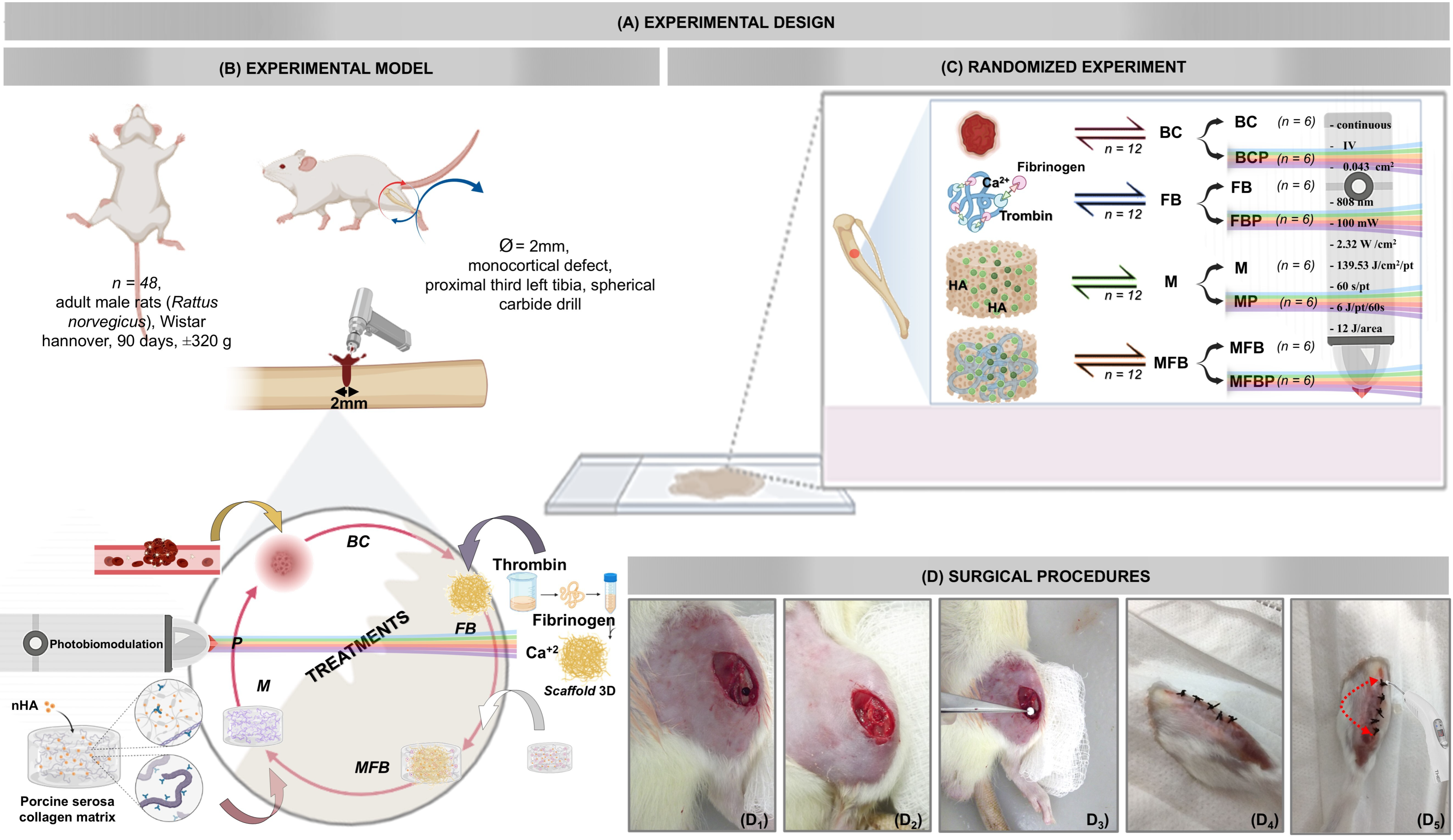 Materials 18 01704 g001