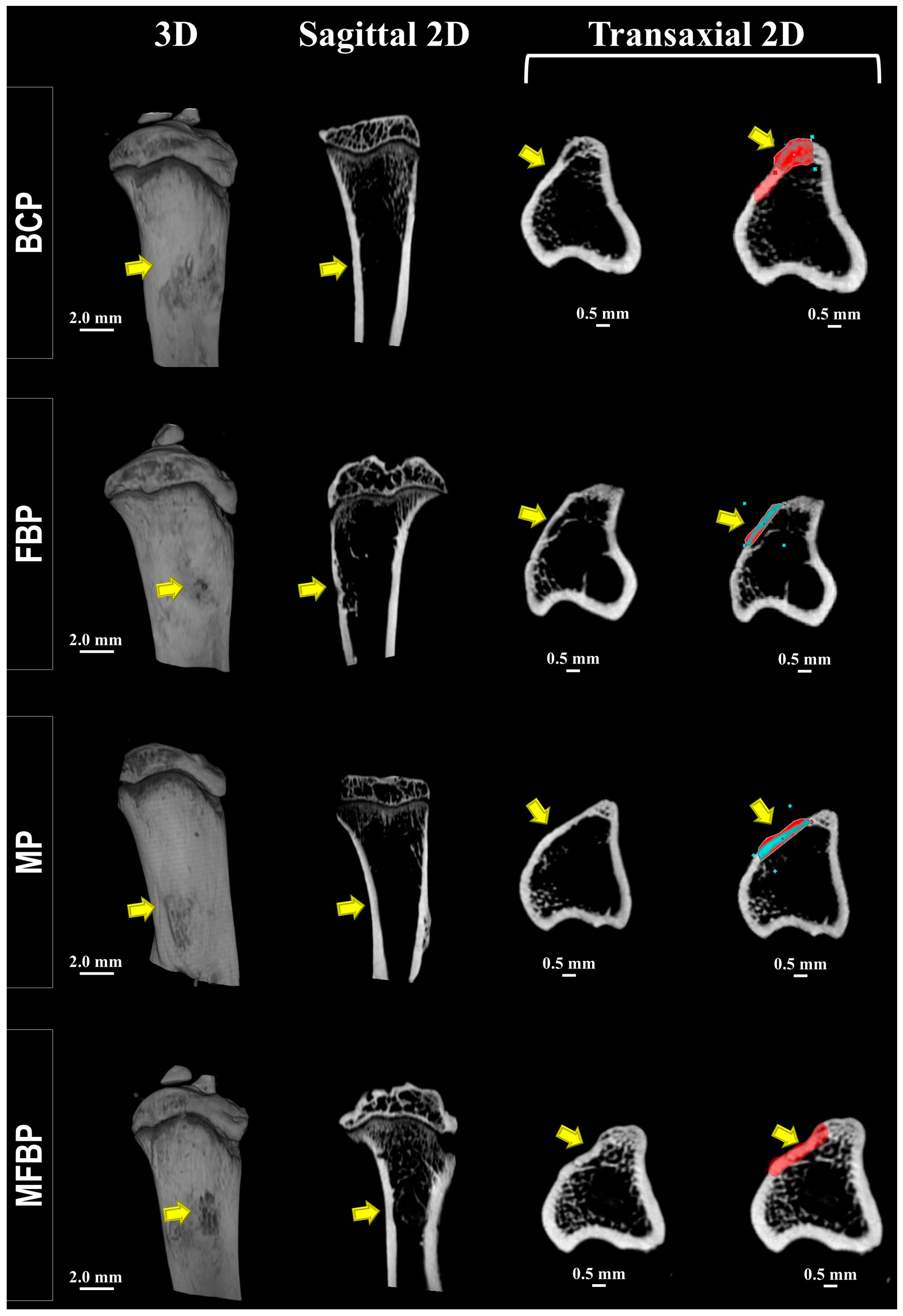 Materials 18 01704 g003