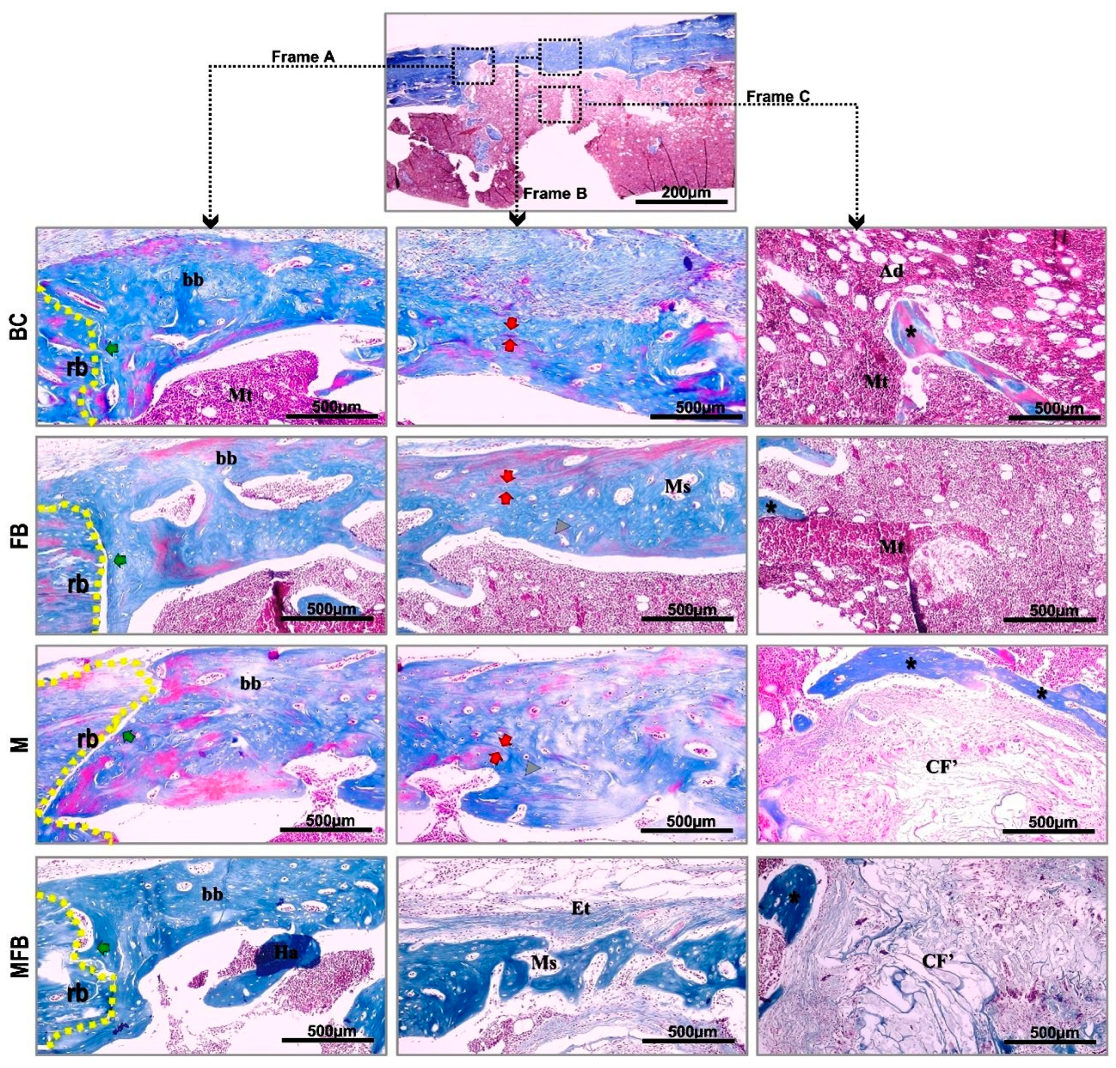 Materials 18 01704 g004