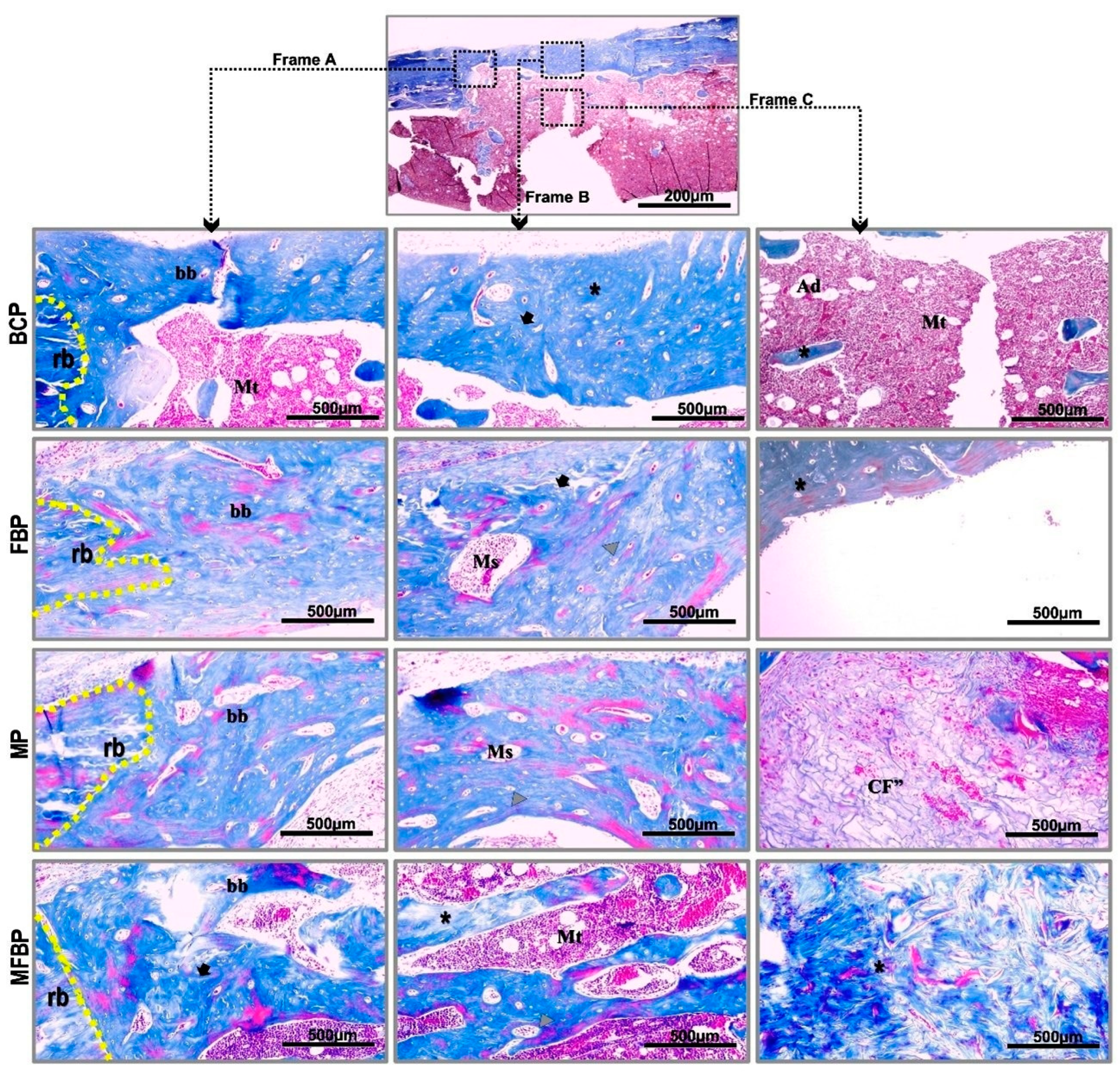 Materials 18 01704 g005