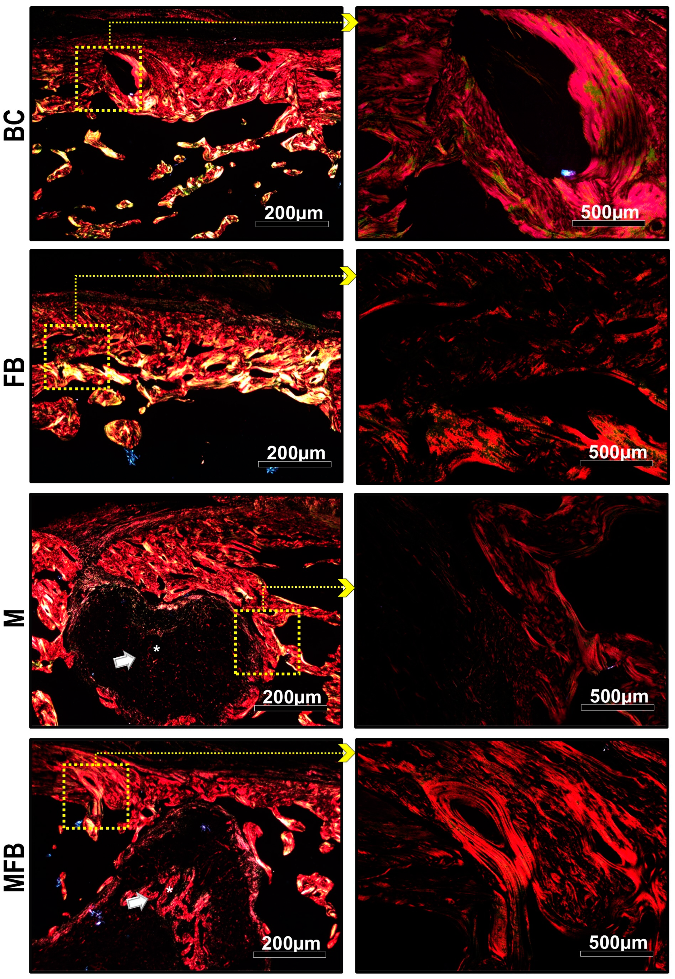 Materials 18 01704 g009