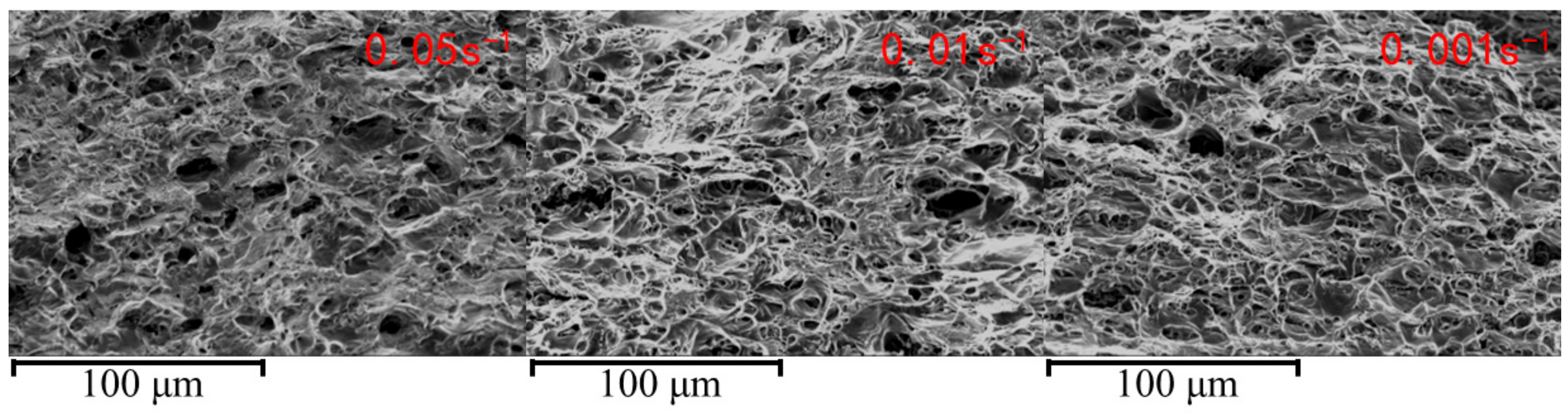 Materials 18 01705 g008