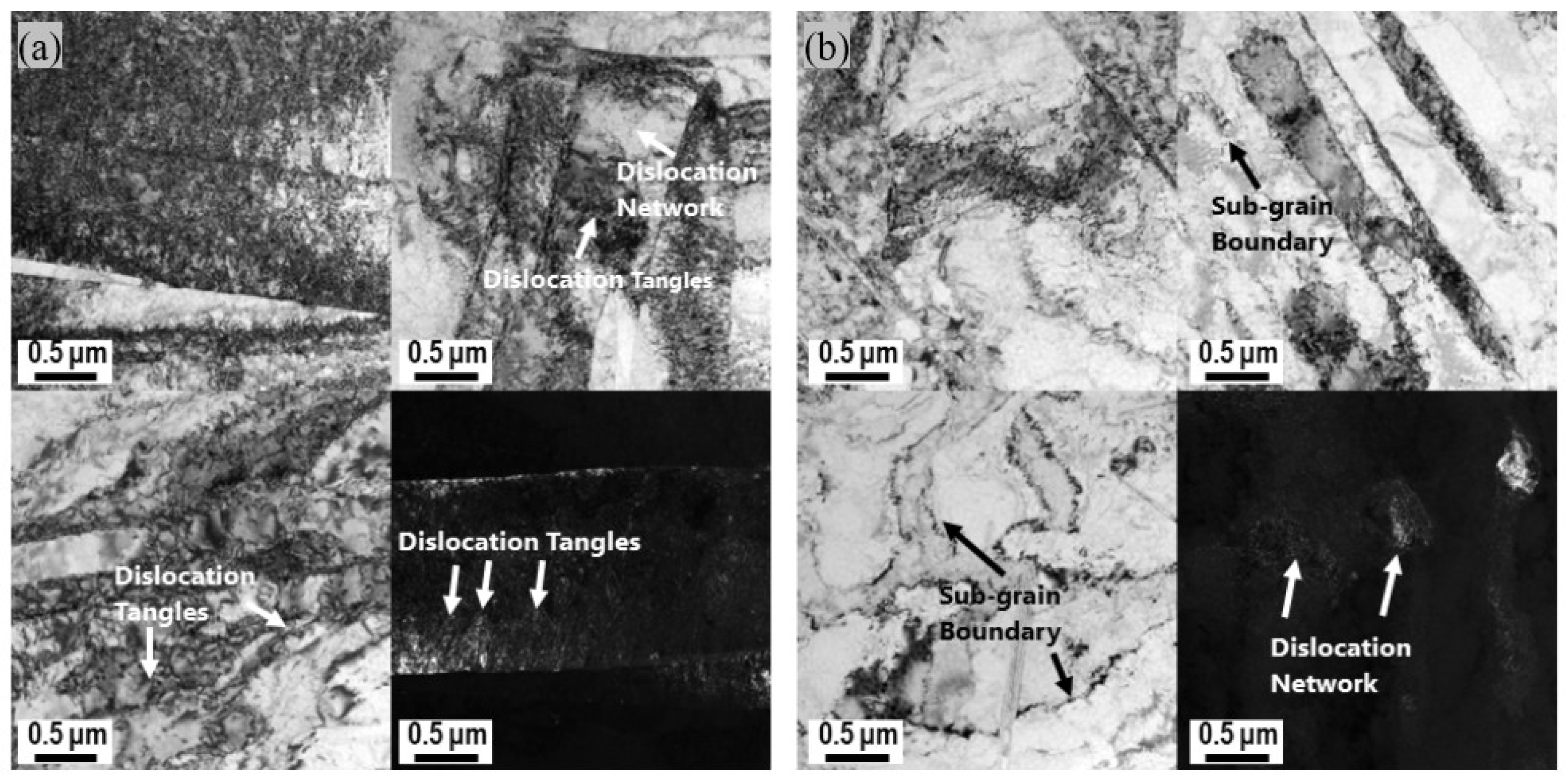 Materials 18 01712 g016 Materials 18 01712 g016
