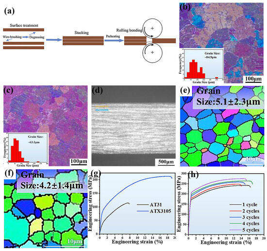 The Recent Developments of Thermomechanical Processing for