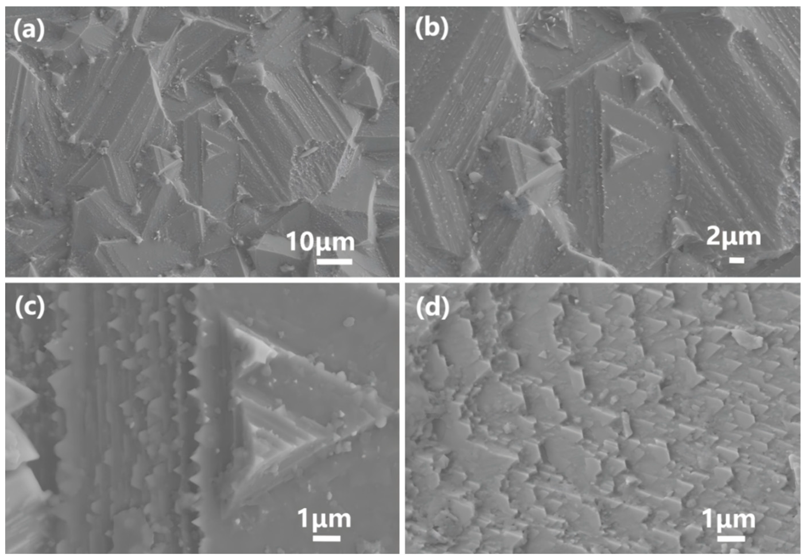 Materials 18 01719 g009